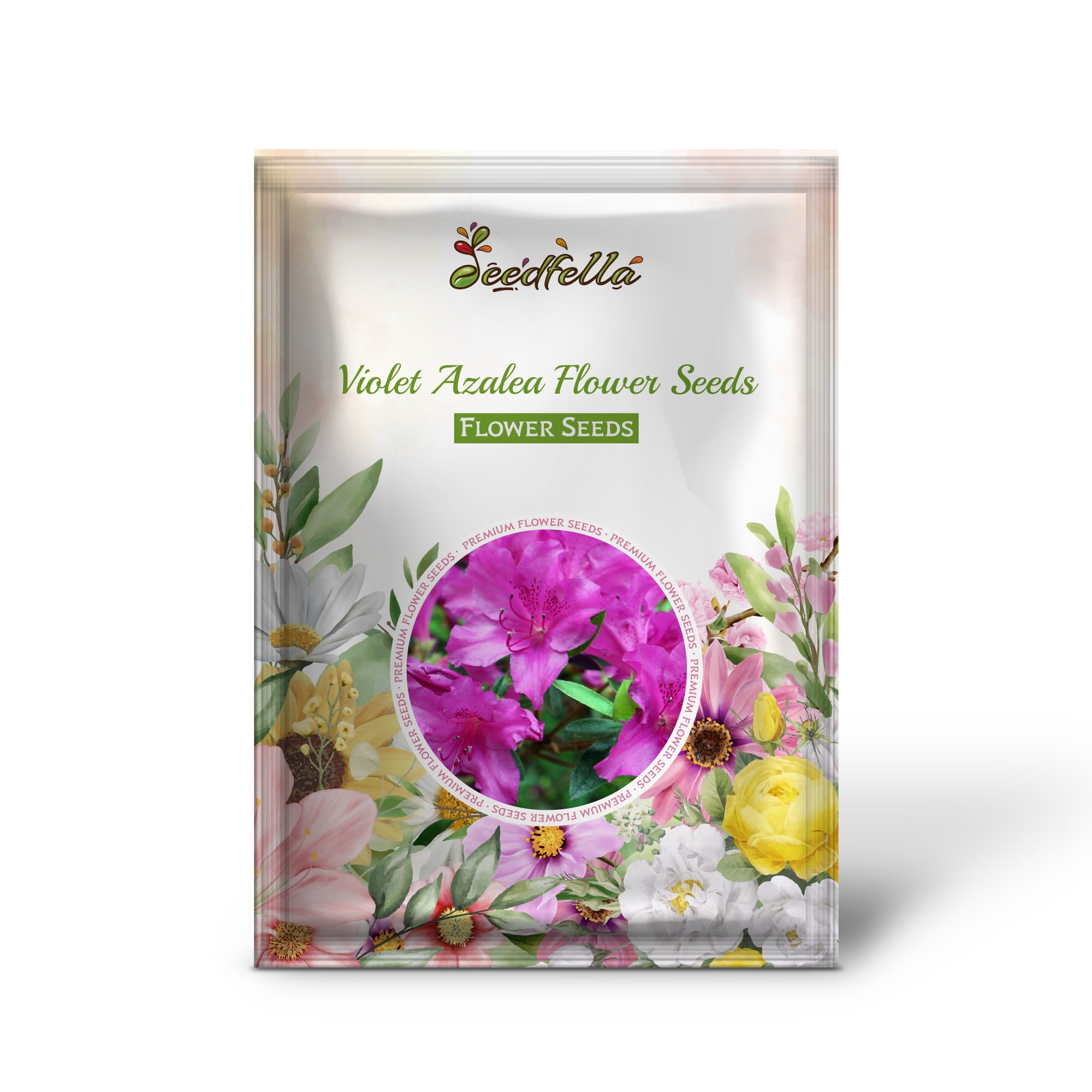 Vibrant Violet Azalea Blooms in Garden