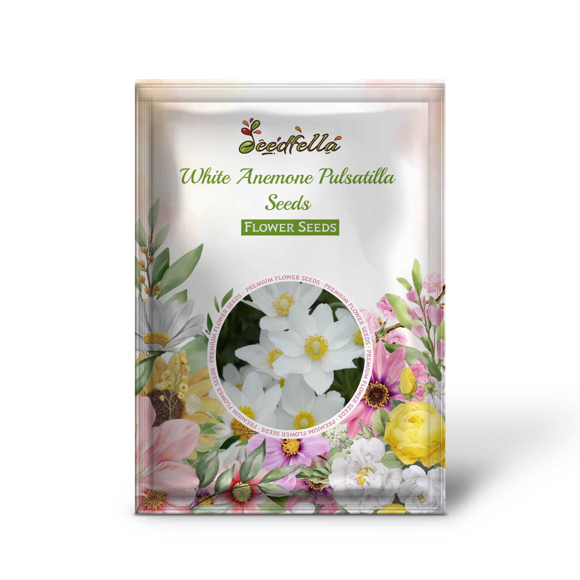 Vibrant White Anemone Pulsatilla Blooms in Garden