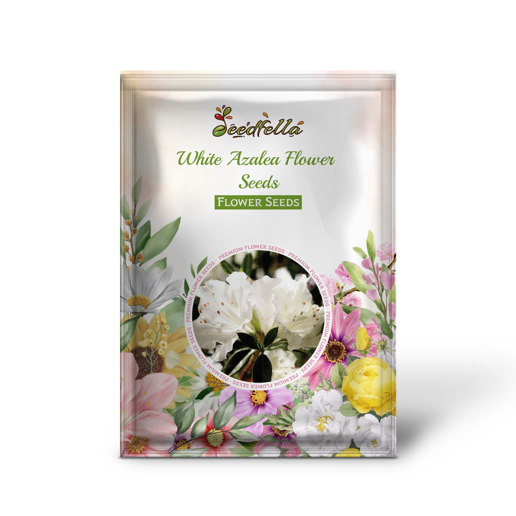 Vibrant White Azalea Blooms in Garden