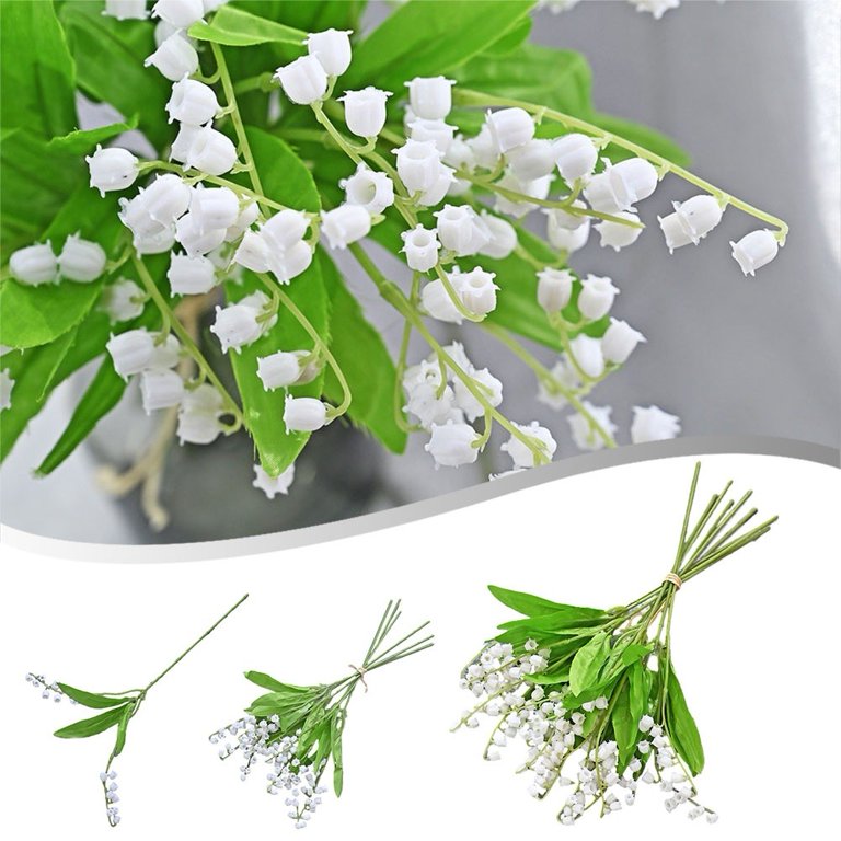 Vibrant White Bell Orchid Plants in Full Bloom