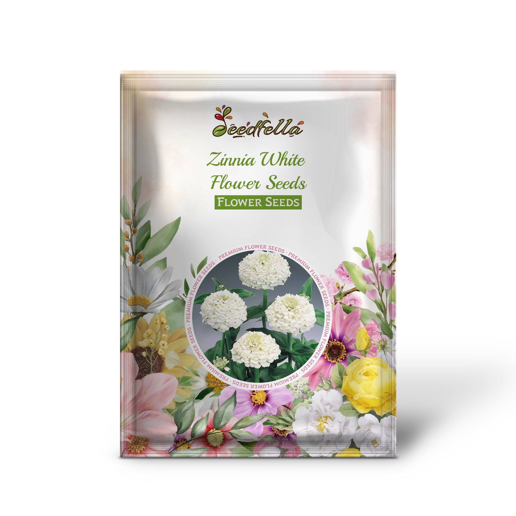 Vibrant White Zinnia Blooms in Garden