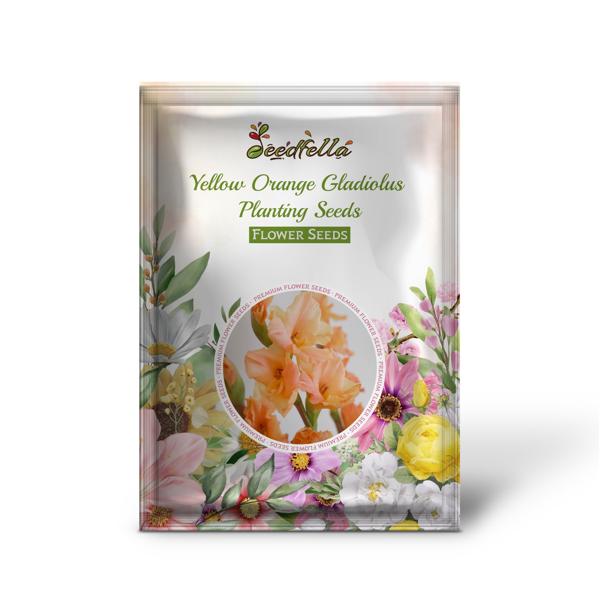 Vibrant Yellow and Orange Gladiolus Blooms in Garden