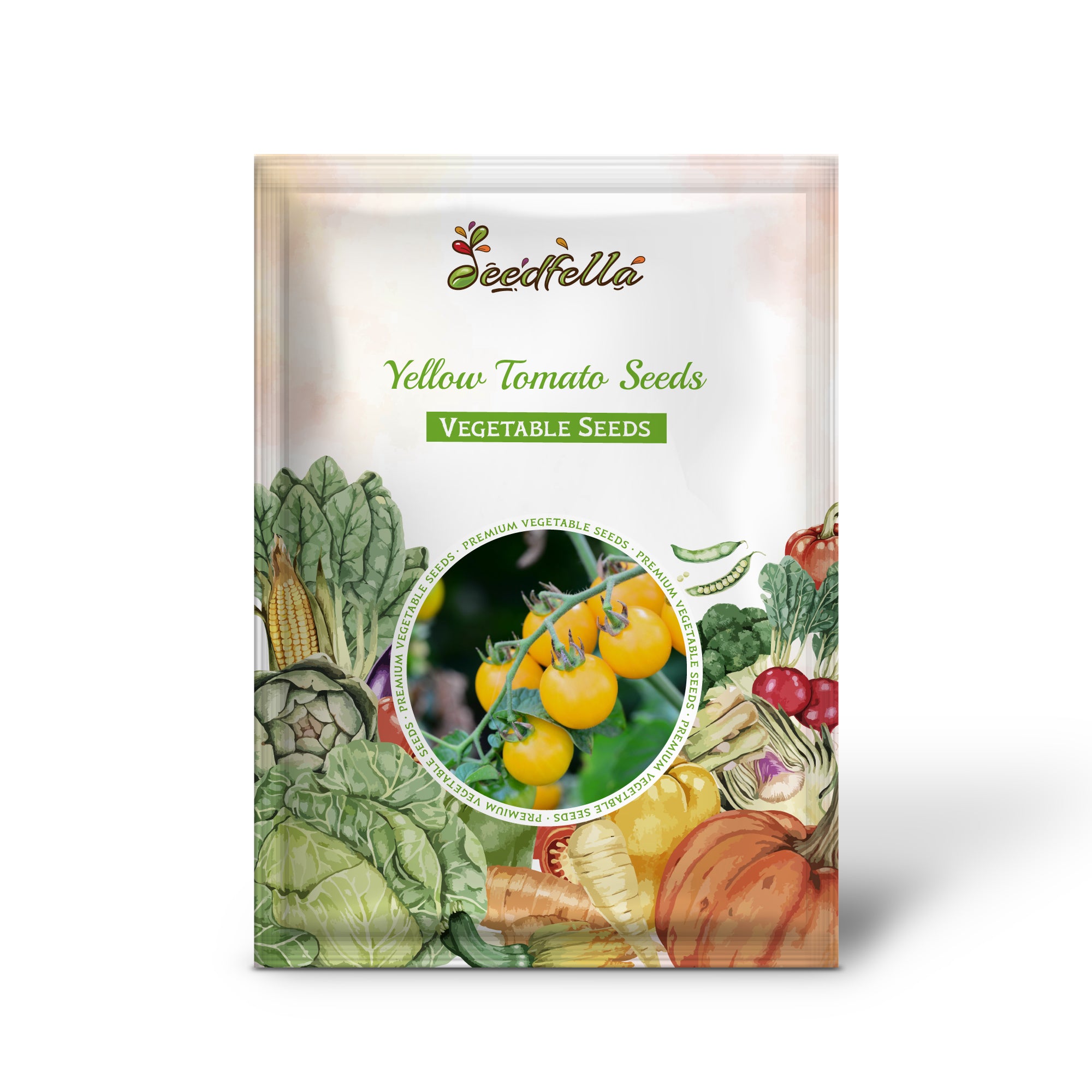 Yellow tomatoes growing on garden plant