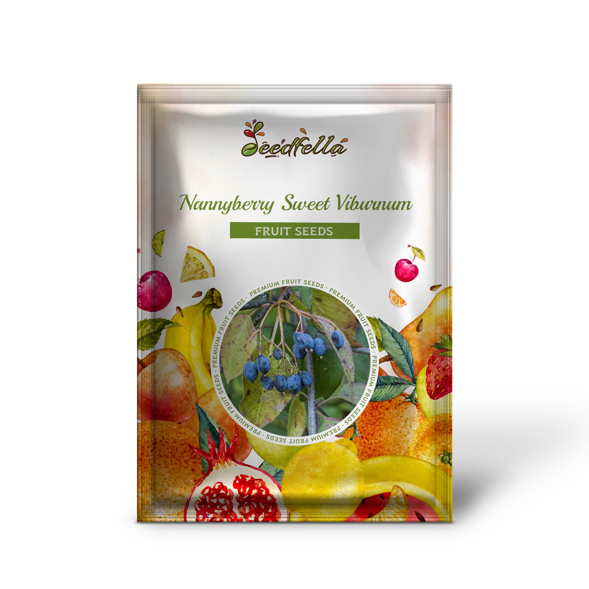 Viburnum lentago Nannyberry seeds native flowering shrub