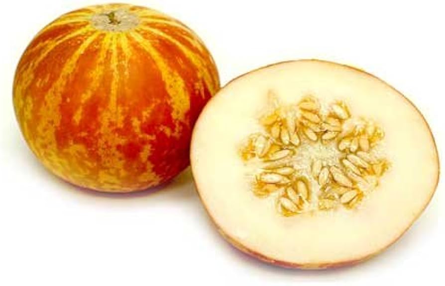 Vietnam Milk Melon Seeds for planting Non-GMO