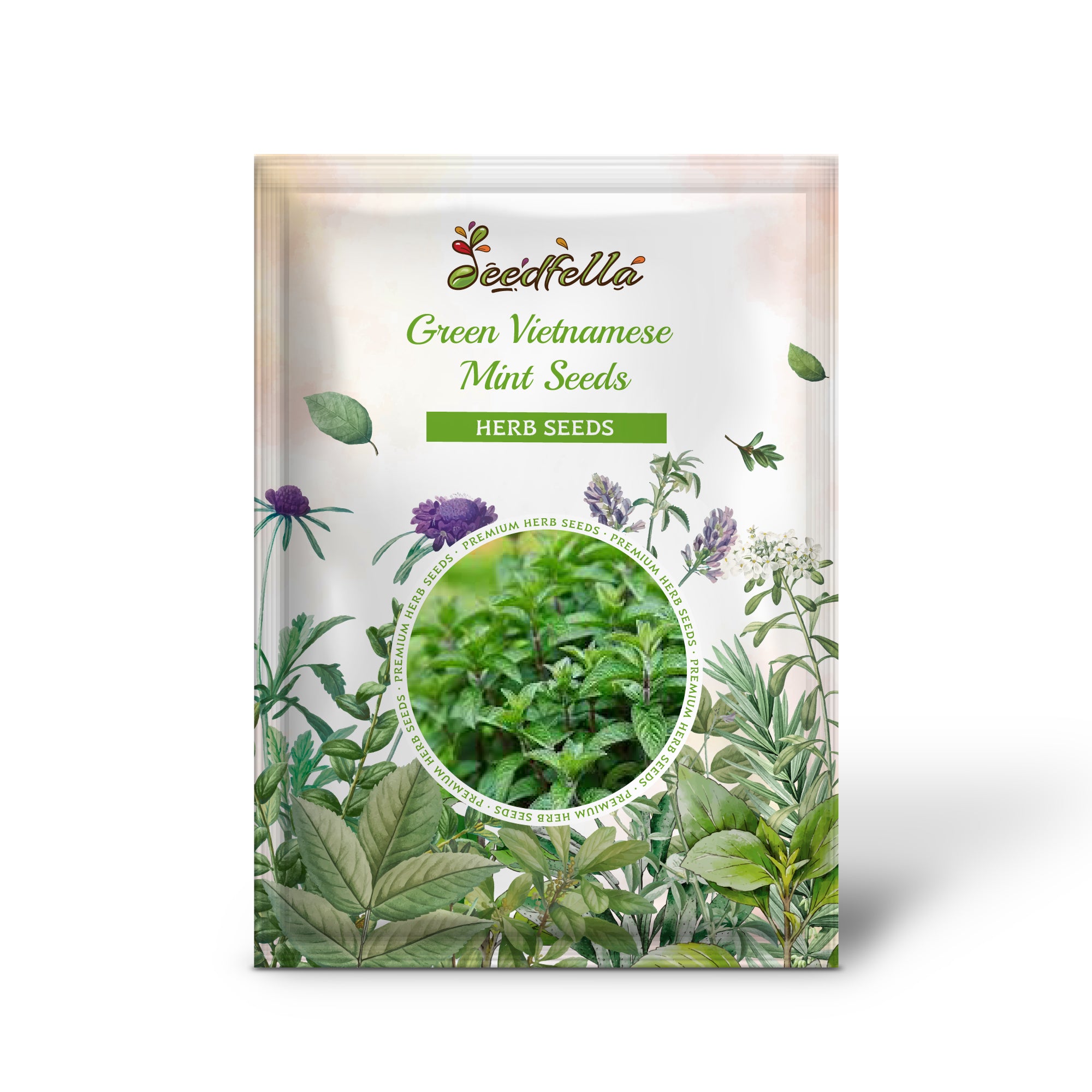 Premium Non-GMO Vietnamese Mint Seeds Pack