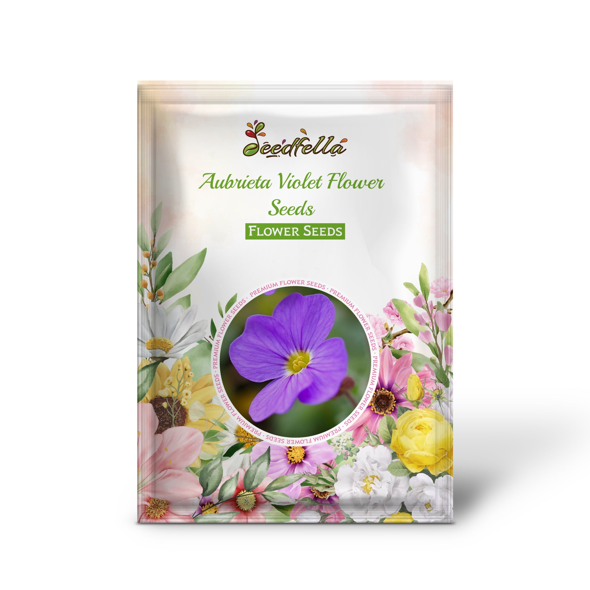 Violet Aubrieta Blooms in Rock Garden