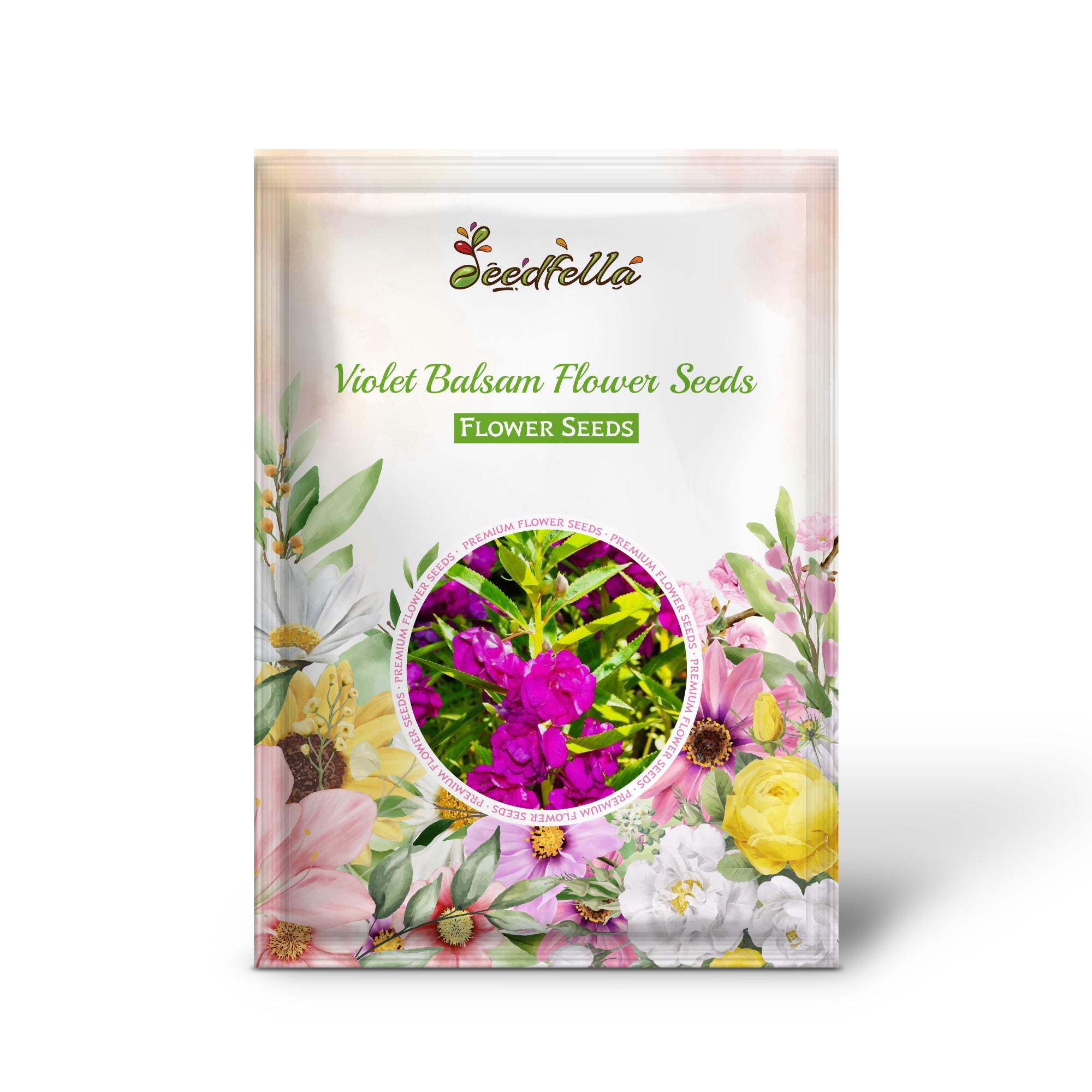 Violet Balsam Flowers in Full Bloom