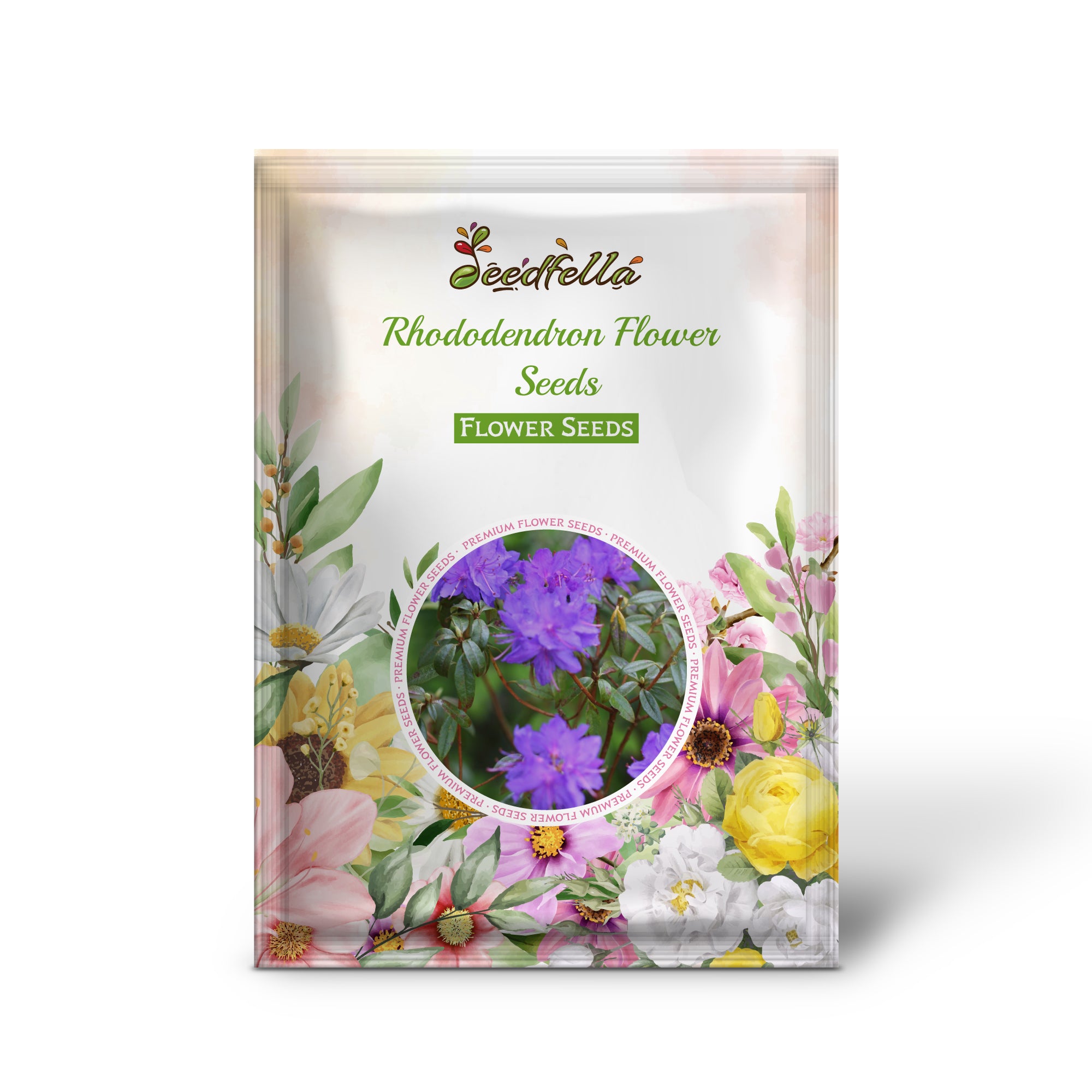 Violet Brown Rhododendron Blooms for Garden Decoration