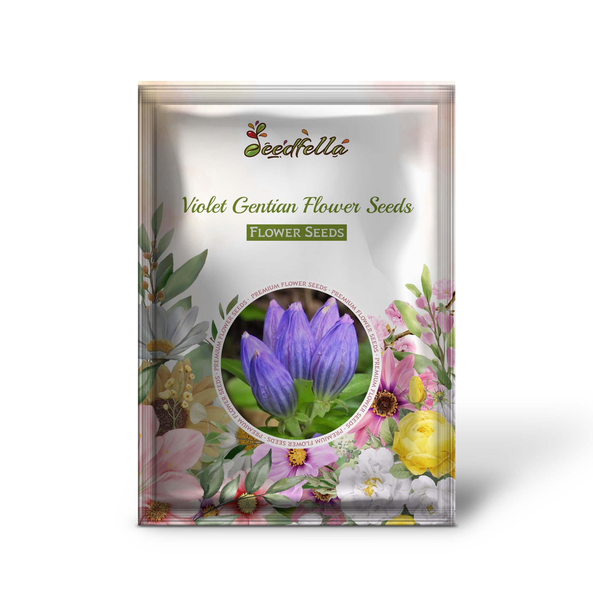 Beautiful Violet Carnation Blooms