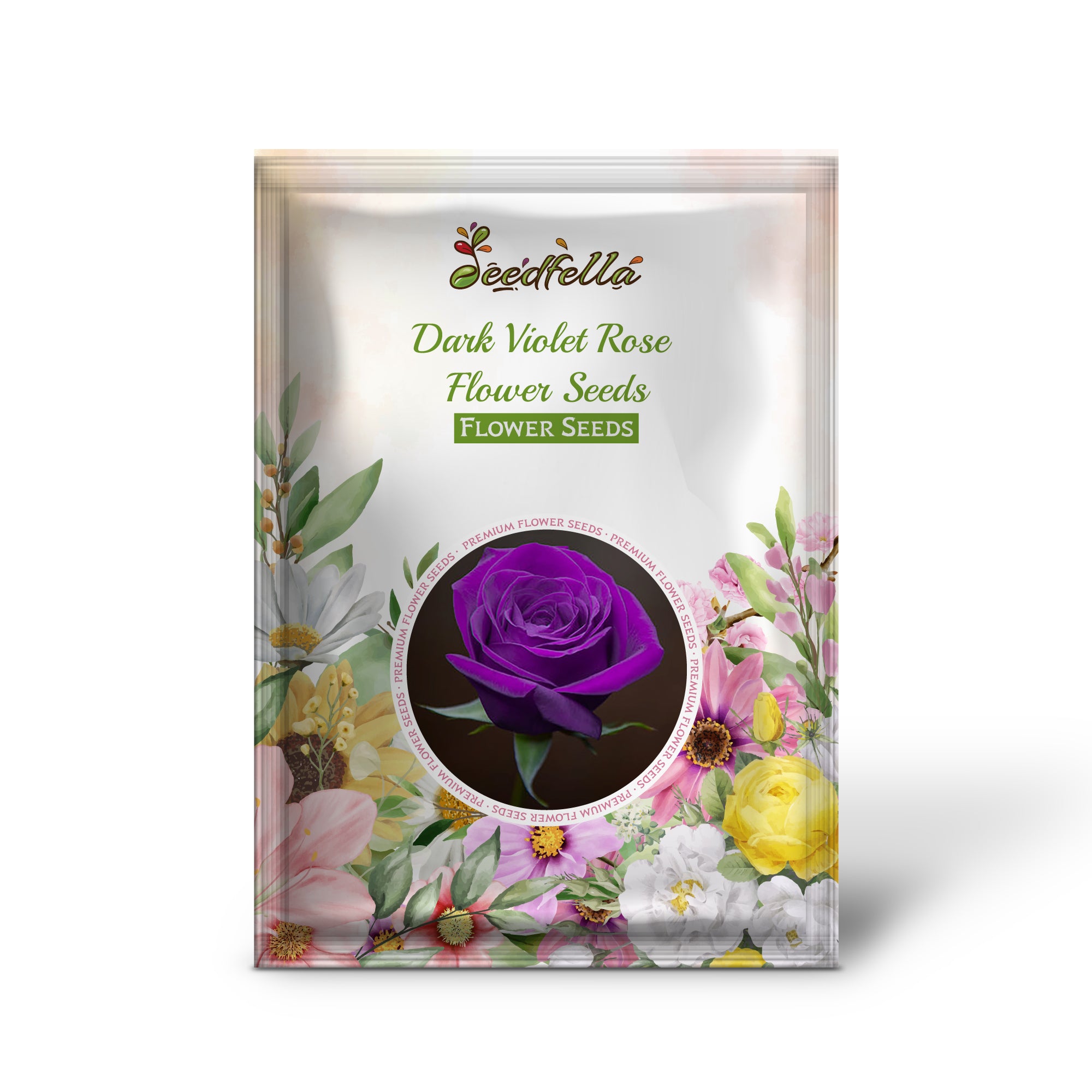 Violet Rose Seeds for Gardening and Home Planting