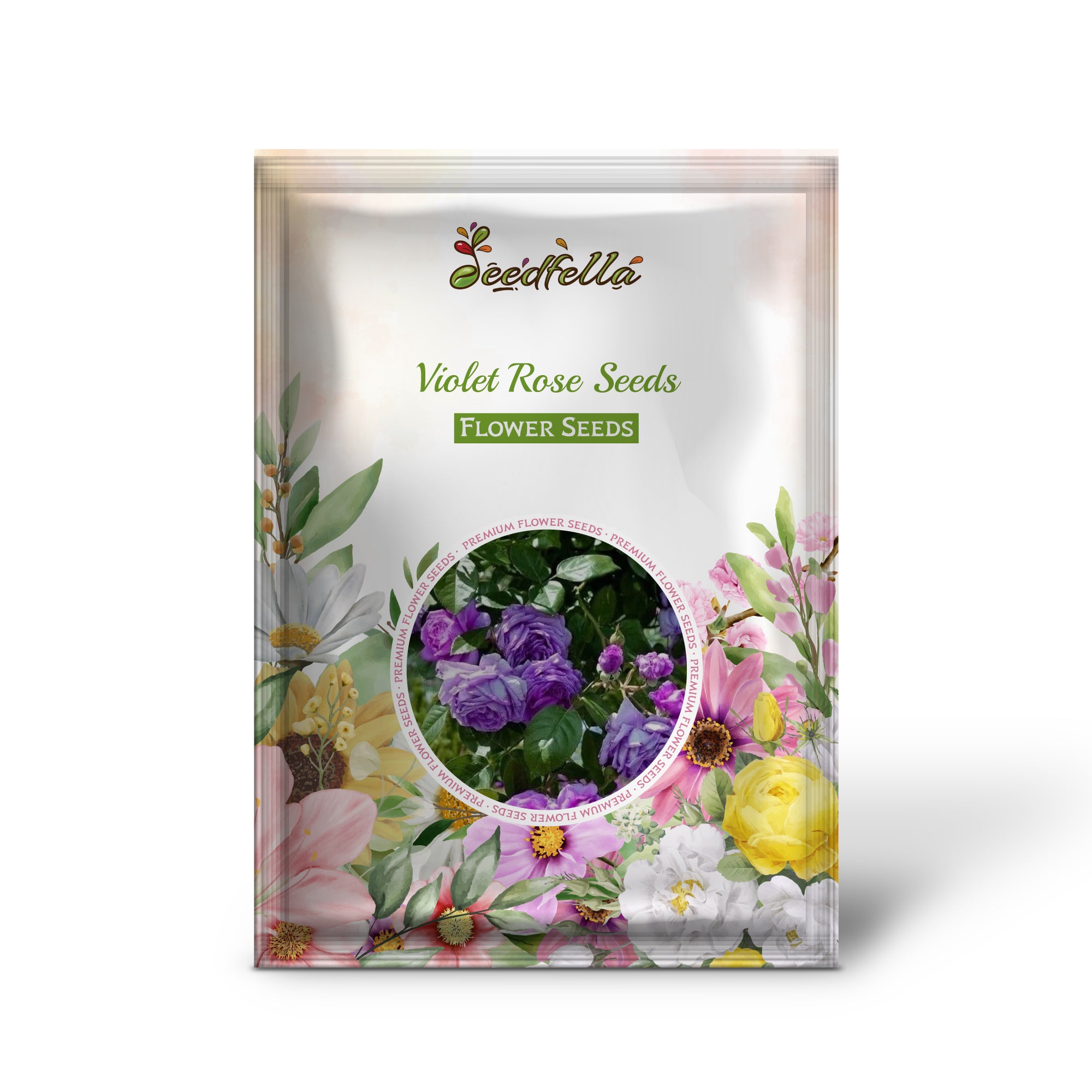 Violet Roses in full bloom