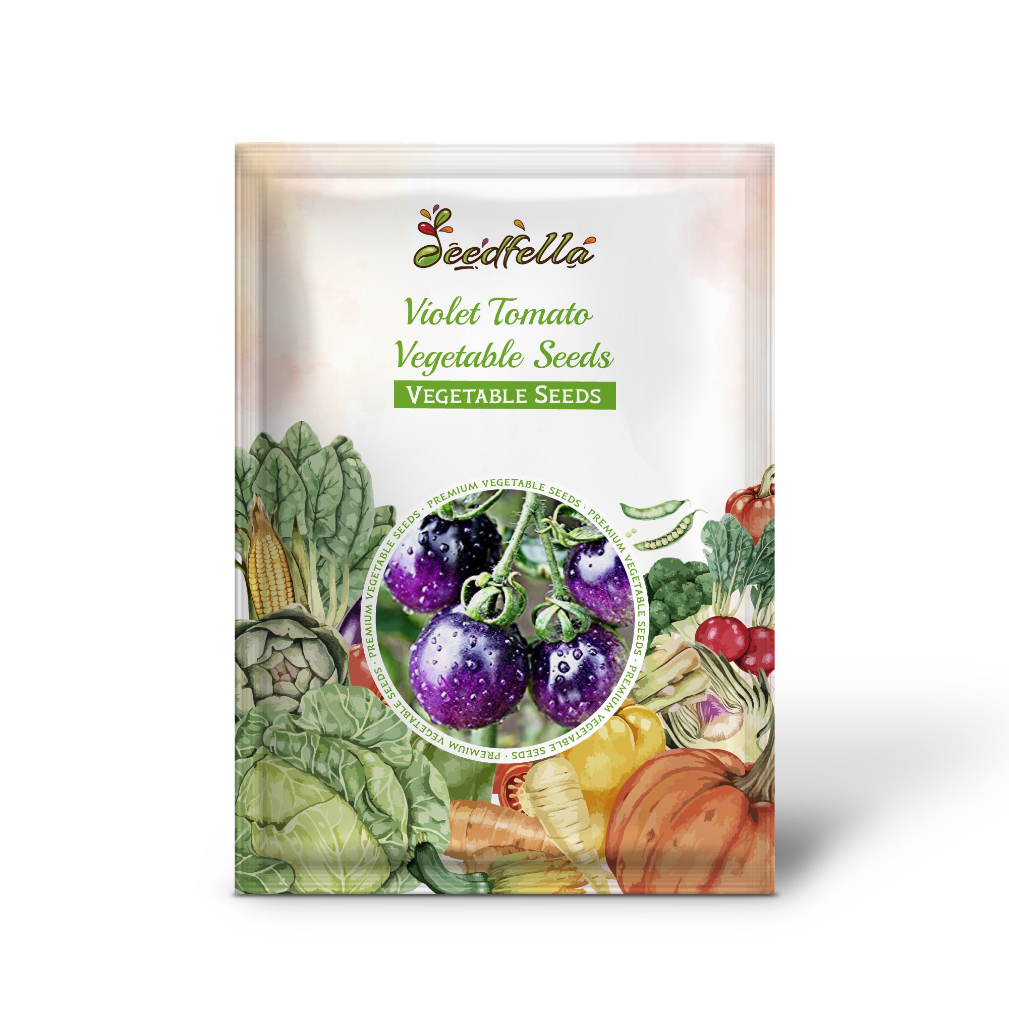 Violet tomatoes growing on plant