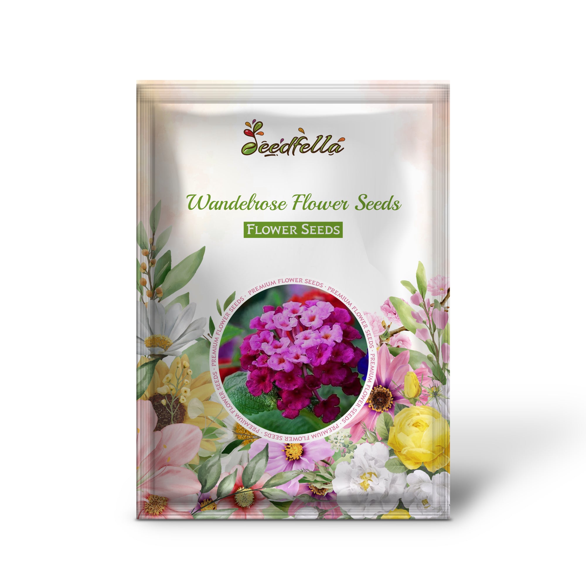 Non GMO Wandelrose seeds for home gardening
