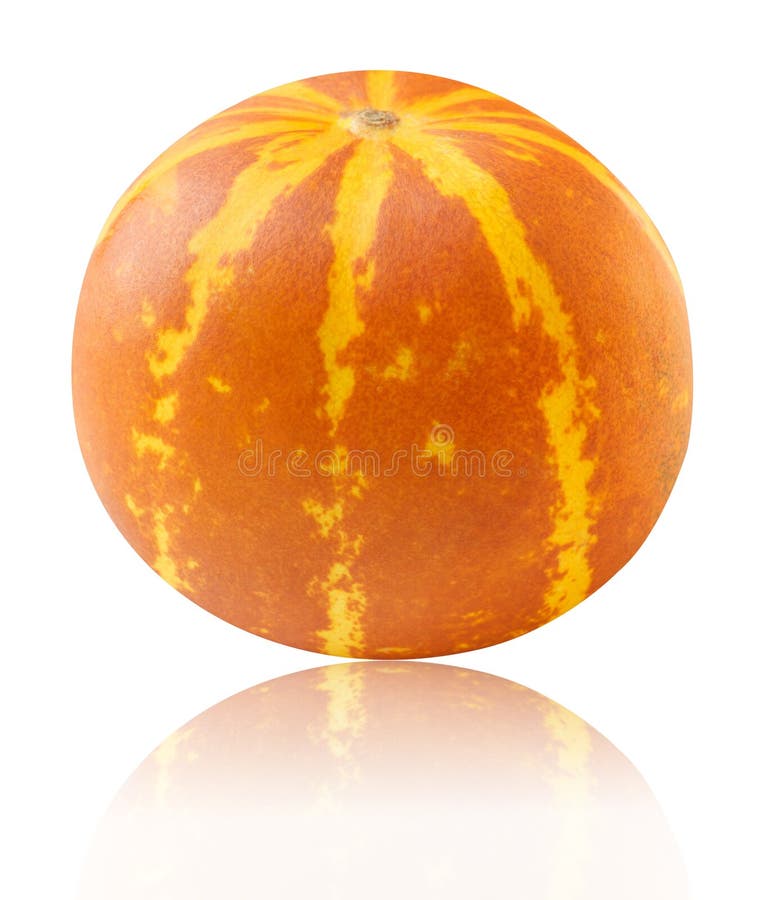 Warzenmelonen Fruit Citrullus lanatus for planting in vegetable patch
