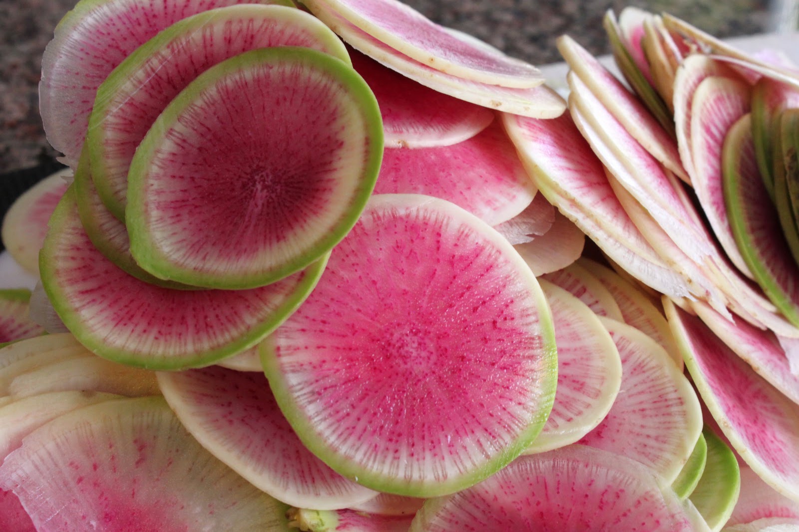 Healthy watermelon radish plants growing in cool-season garden
