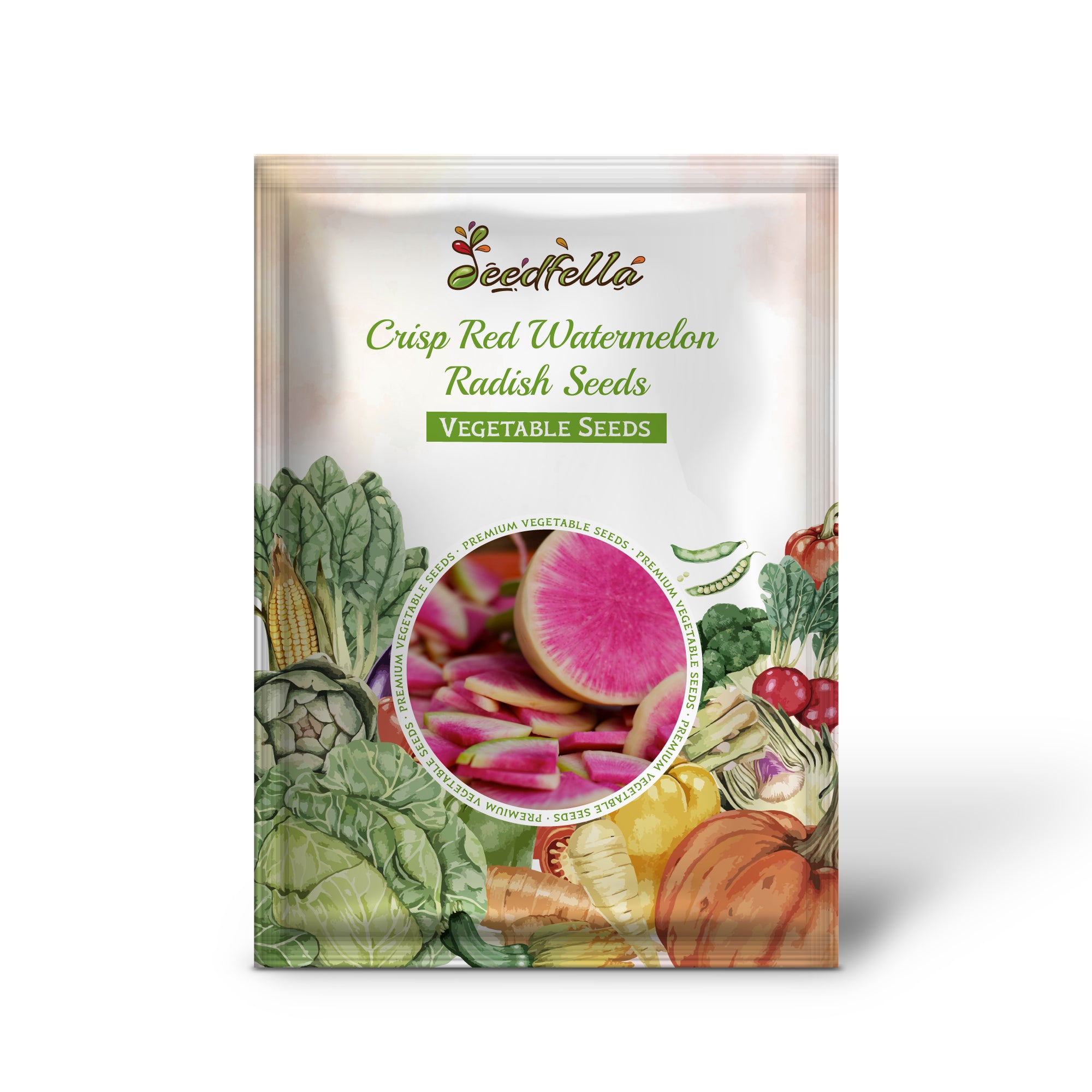 Watermelon radish seedlings sprouting in garden soil