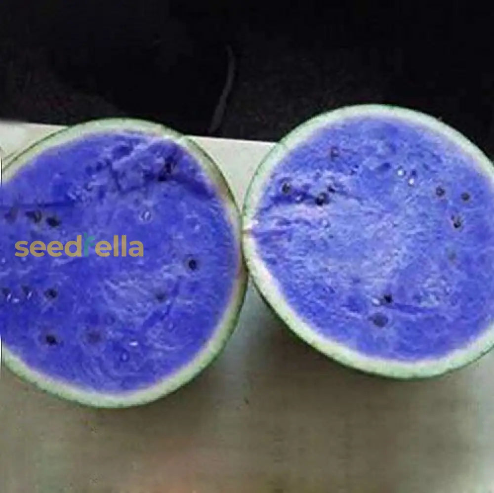 Watermelon Seedlings Growing from Non-GMO Seeds