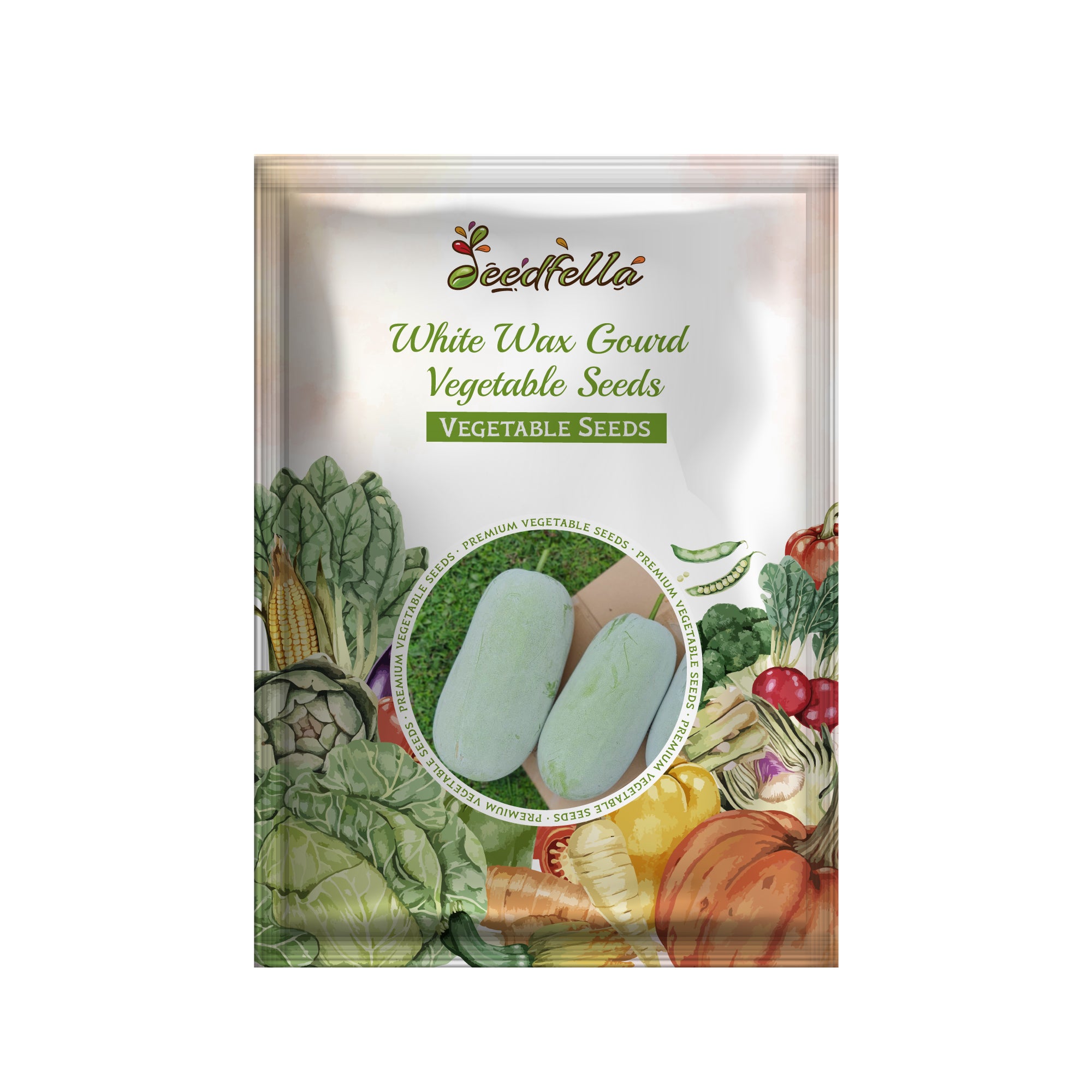 Wax gourd plants growing in a home garden