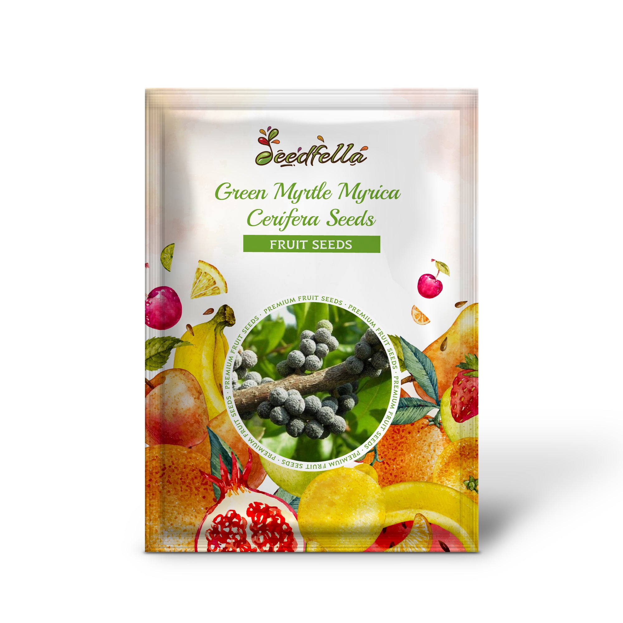 Wax Myrtle Tree Seeds for Home Garden Planting