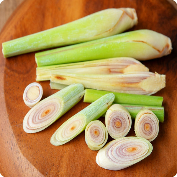 West Indian Lemongrass seeds Cymbopogon citratus edible plant