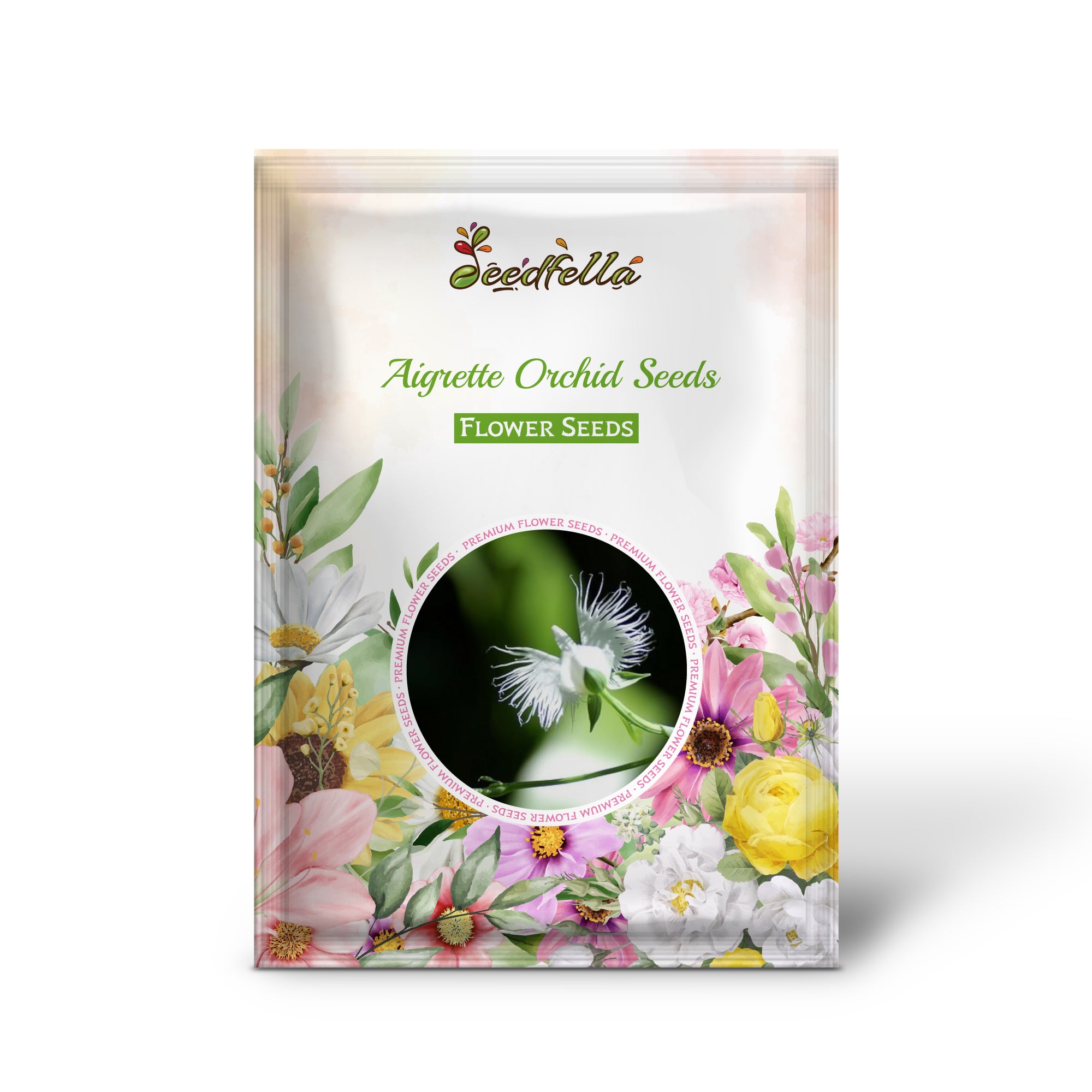 White Aigrette Orchid flowers in full bloom