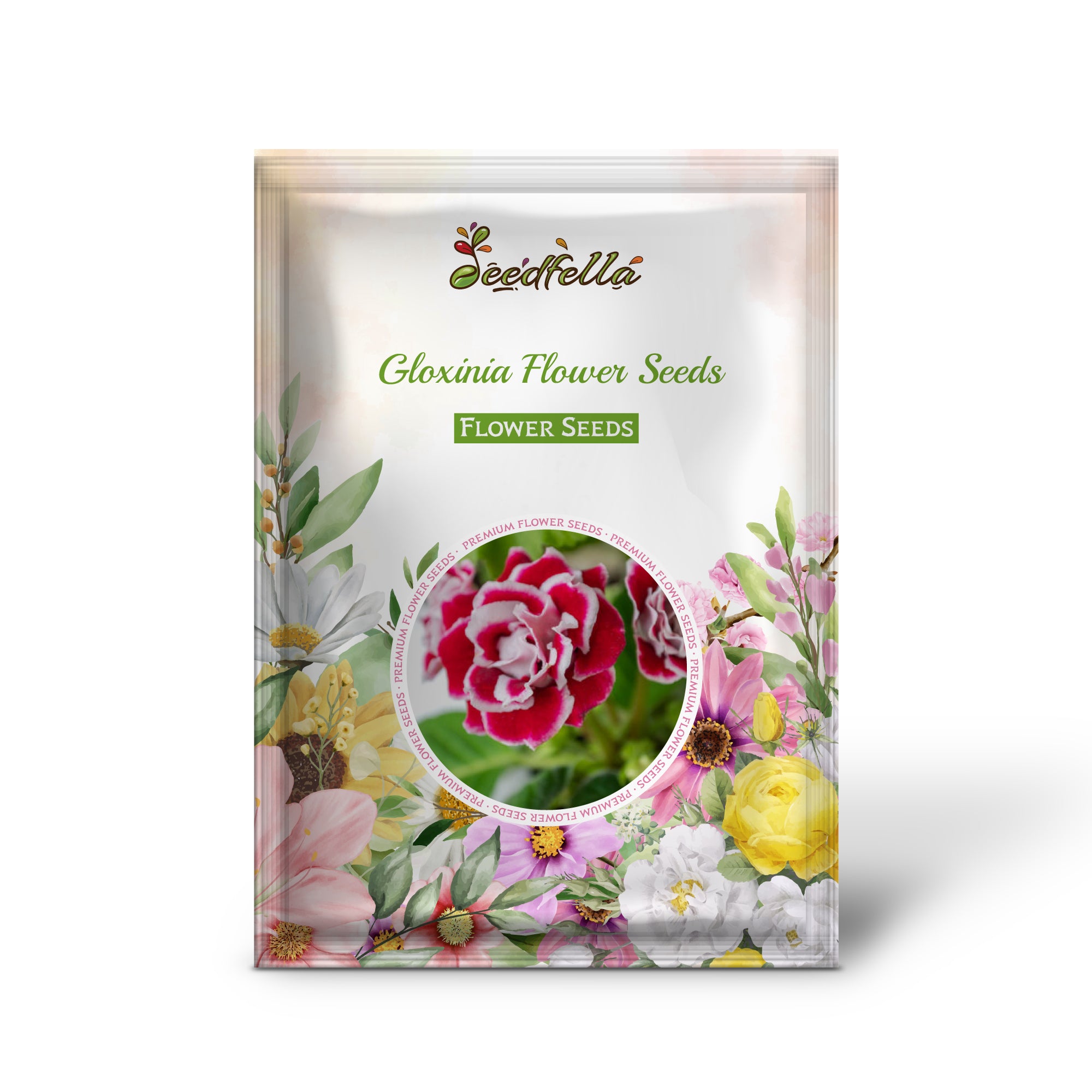 Buy Gloxinia seeds online for colorful garden blooms