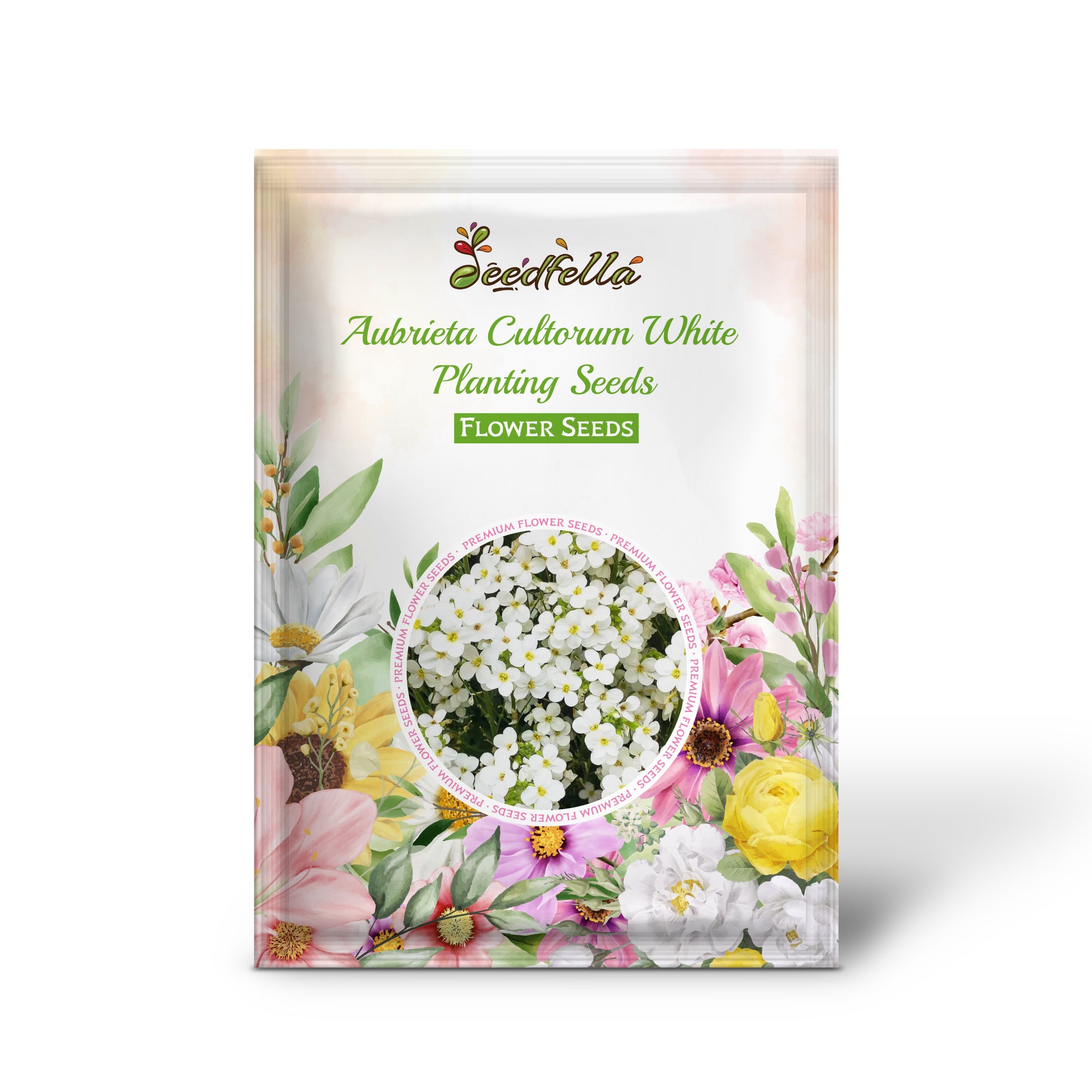 White Aubrieta Rock Cress flowers in full bloom