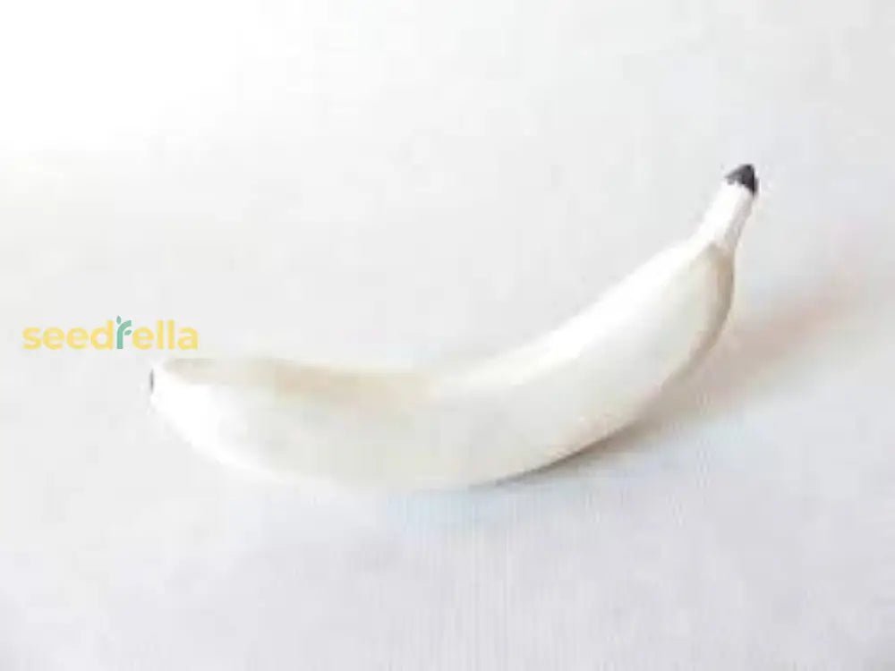 White Banana Seeds For Planting Fruit