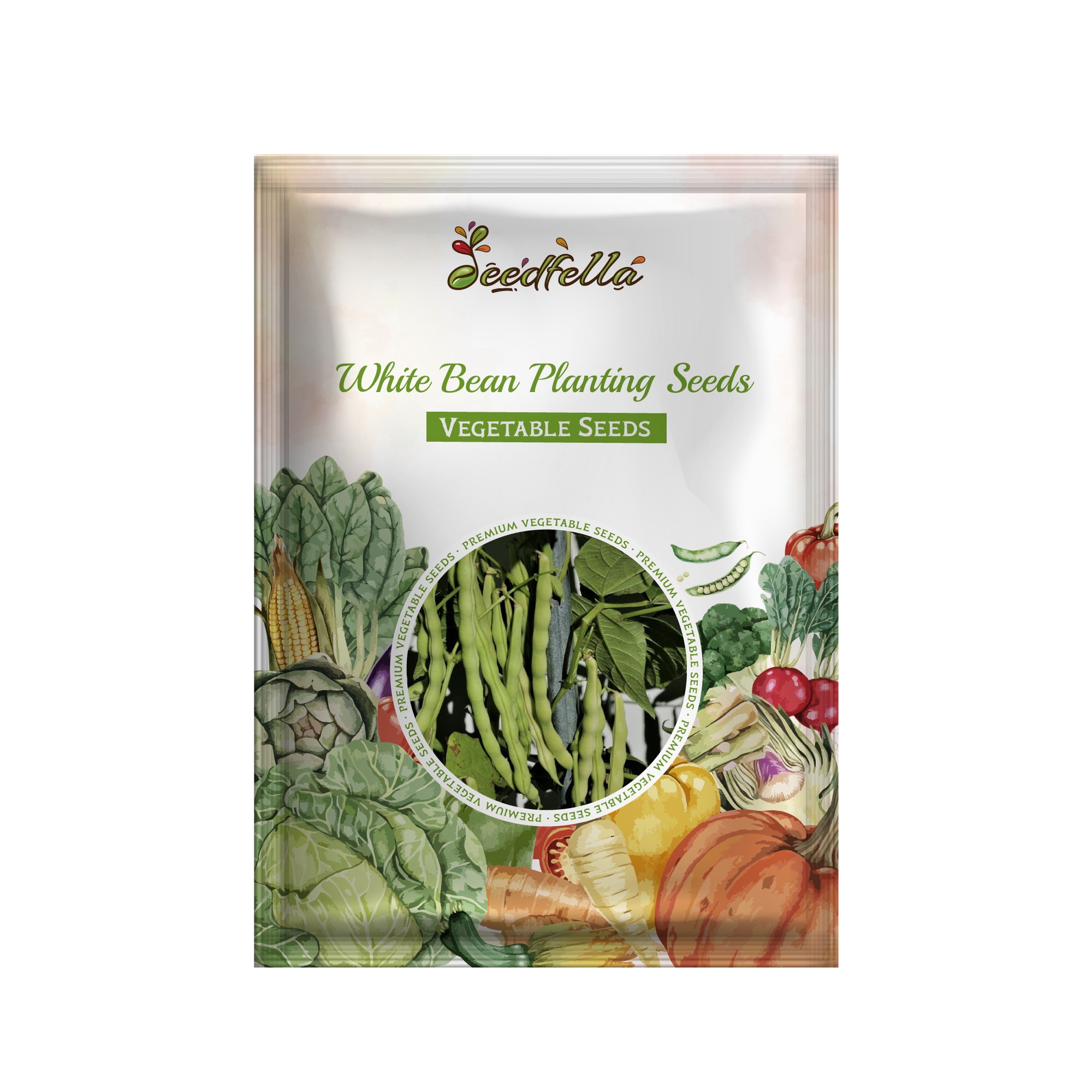 White Bean seedlings growing in garden