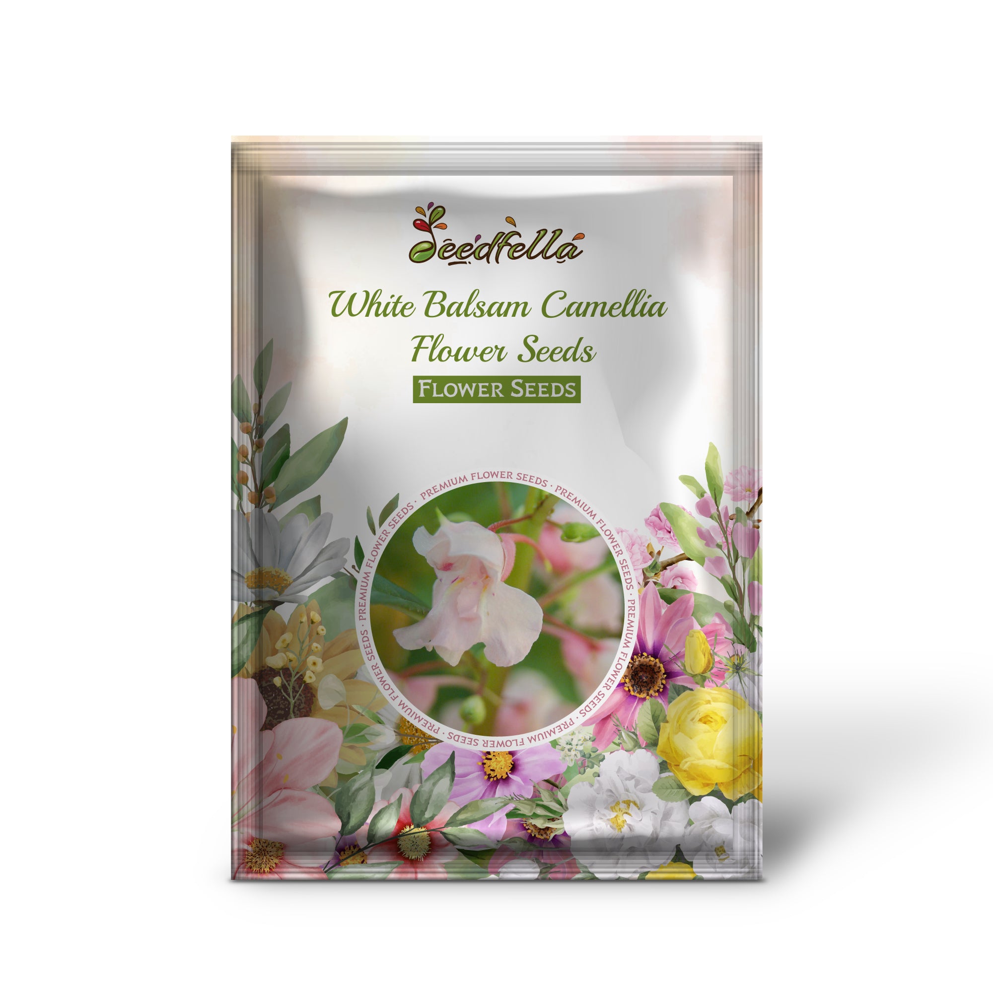 Elegant White Balsam Camellia Blooms