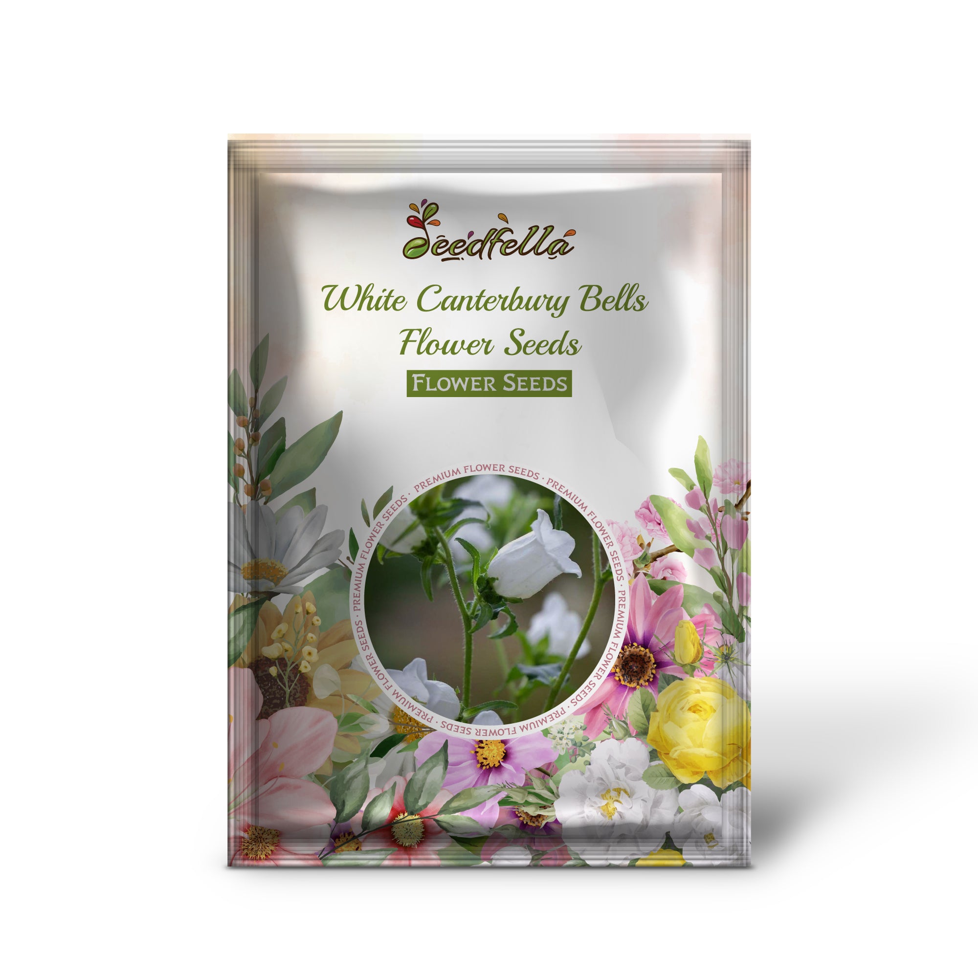 White Canterbury Bells Flowers in Full Bloom