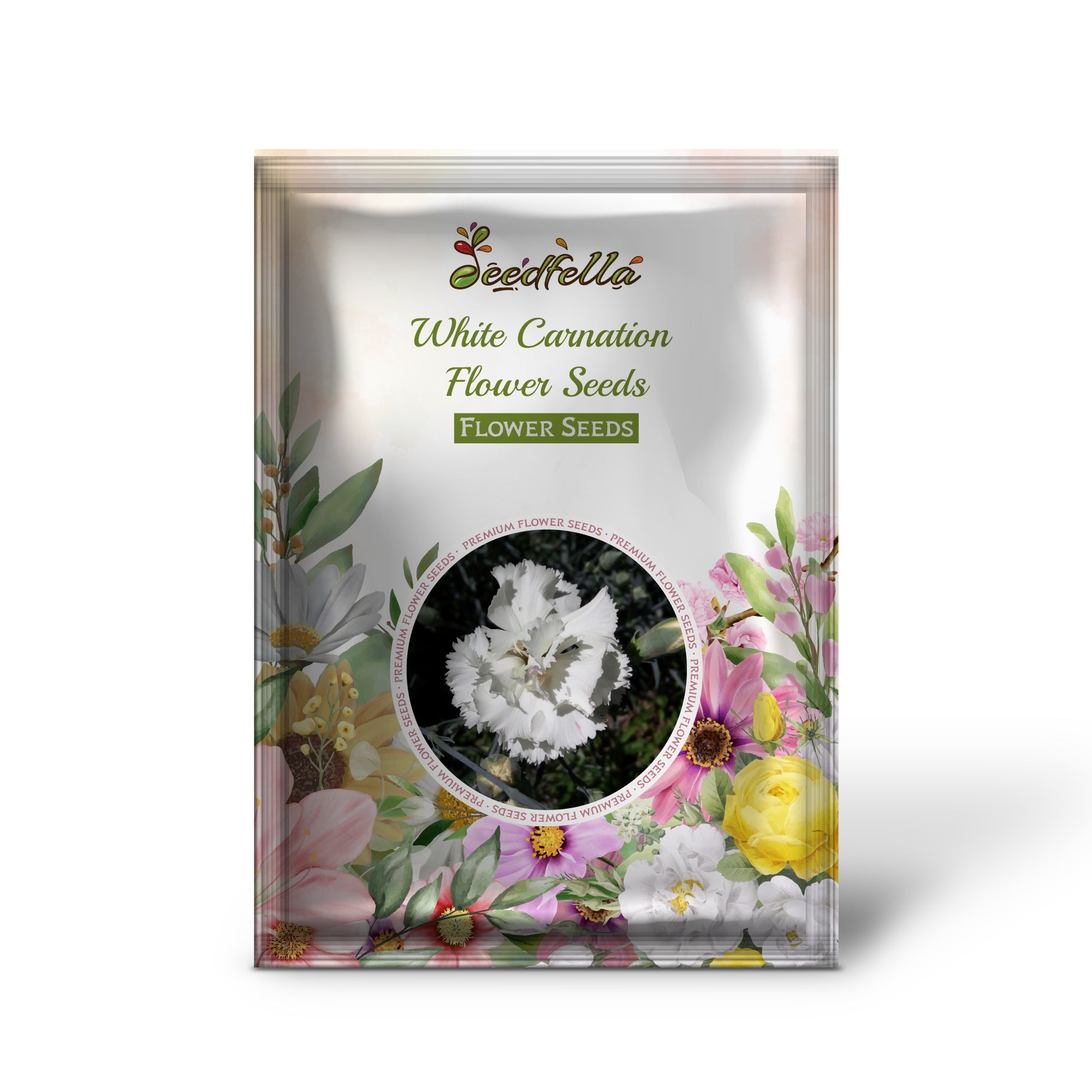 Pure White Carnation Flowers in Bloom