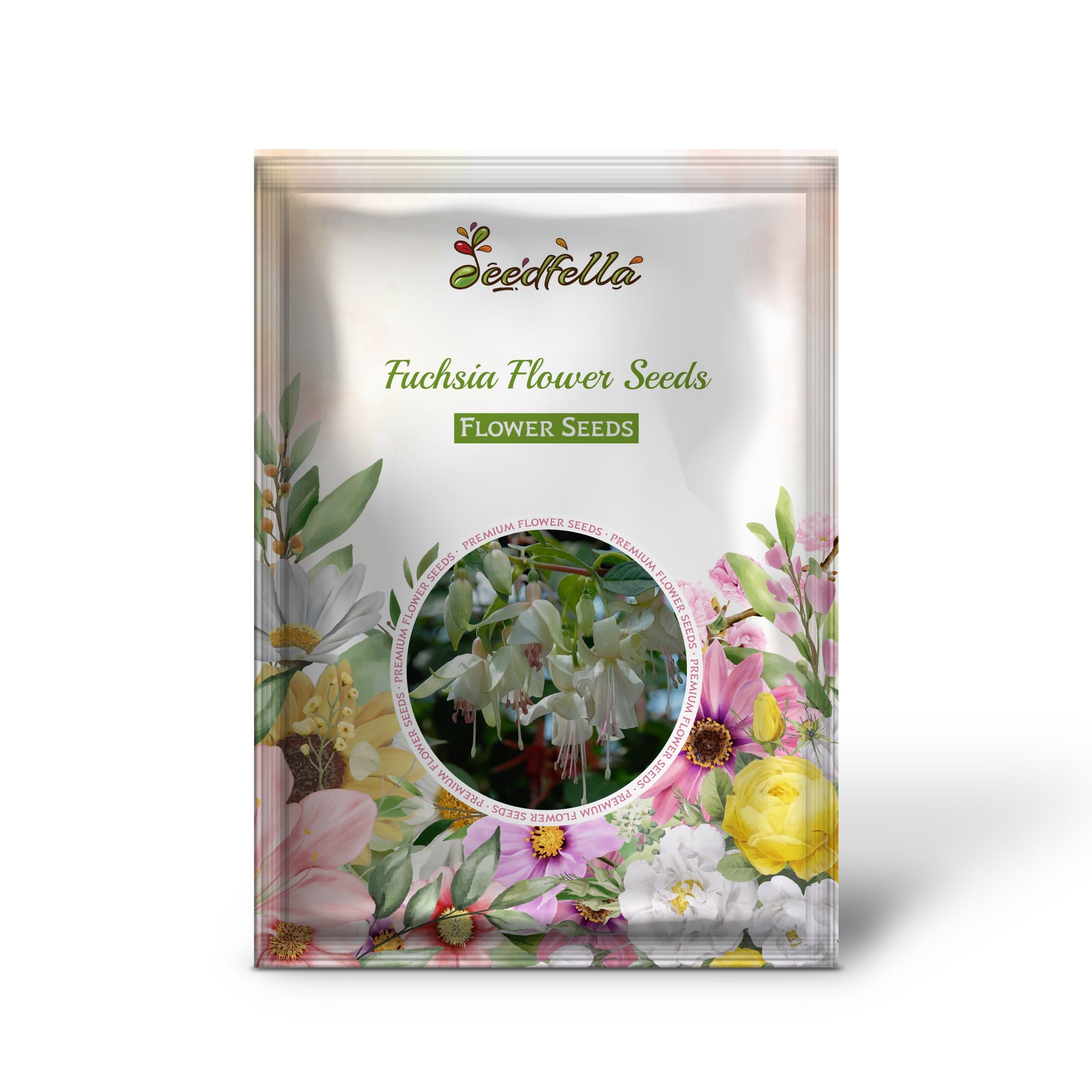 White Fuchsia flowers in full bloom