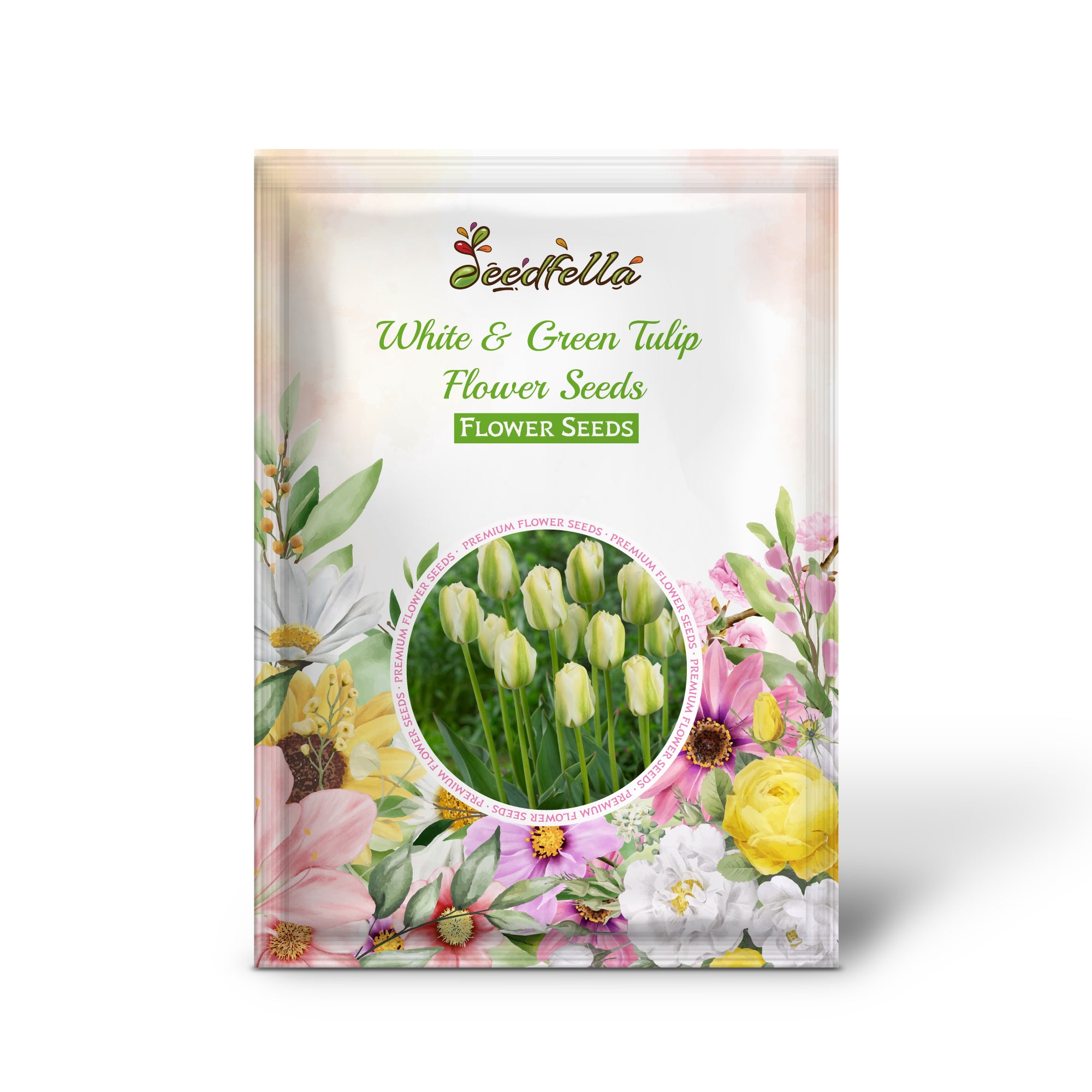 White and Green Tulip Blooms in Garden