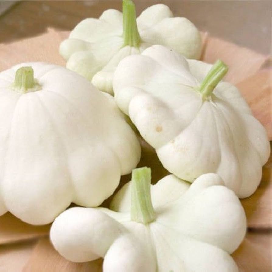 White Patisson squash seeds Non-GMO heirloom variety