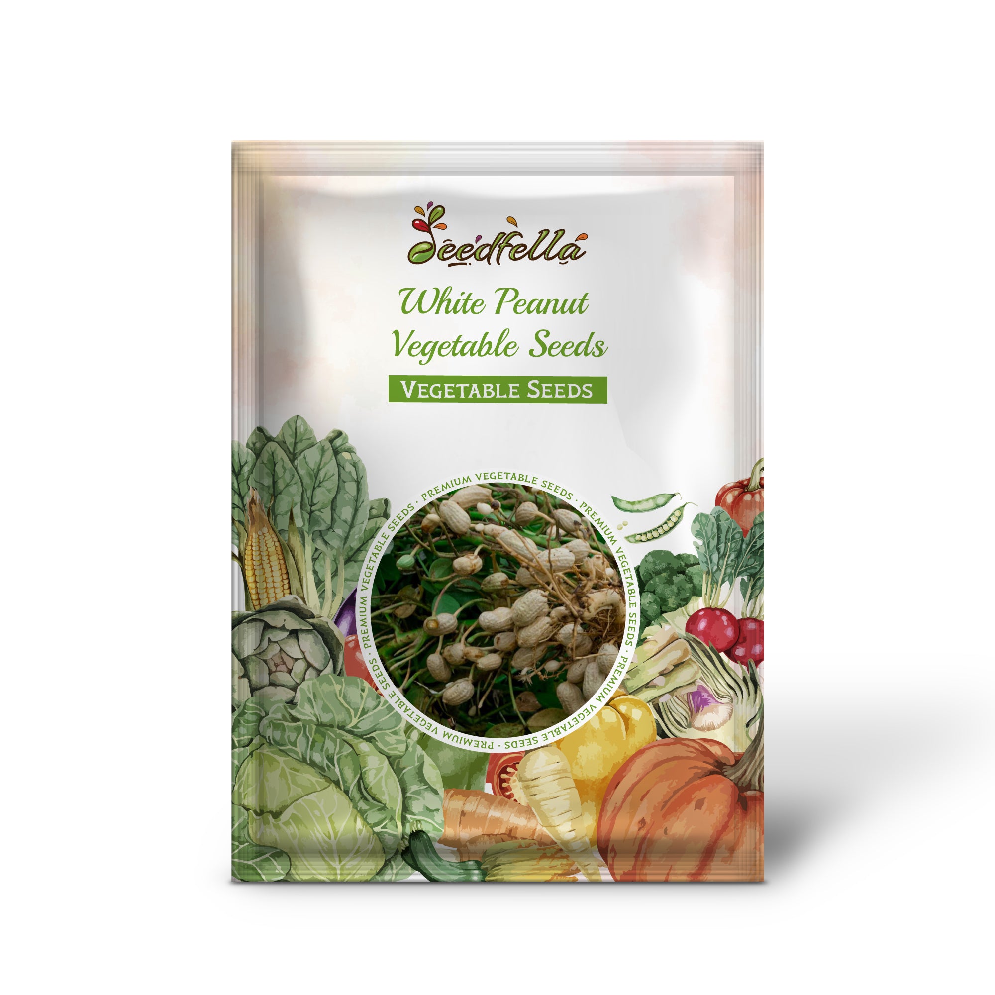 White Peanut plant growing in garden