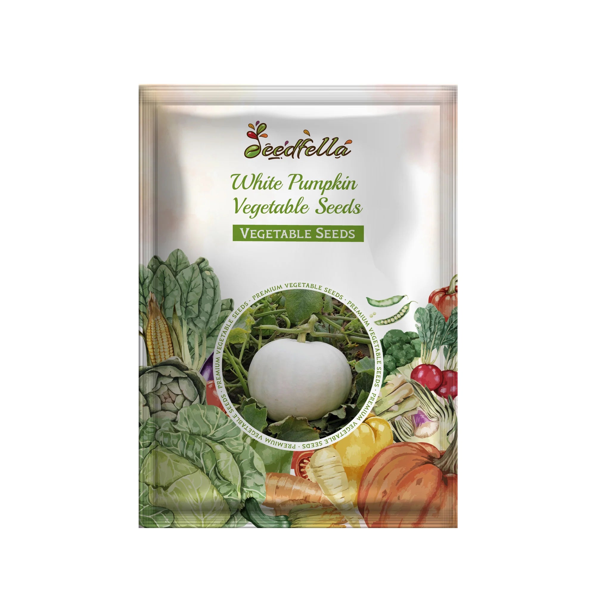 White pumpkin plants growing in garden