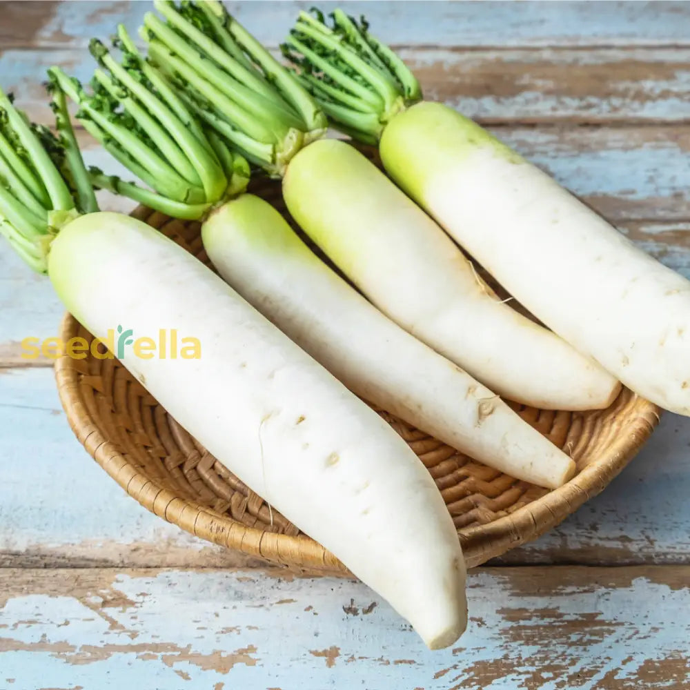 White Radish Seeds For Planting: Crisp & Fresh Harvest Your Kitchen