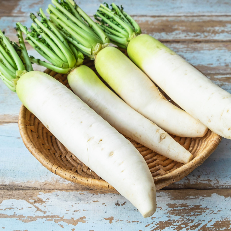 White radish seeds for planting in home gardens