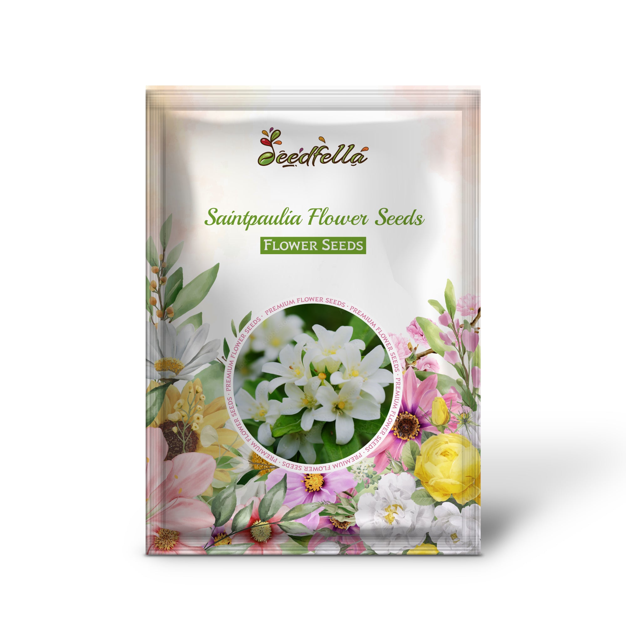 White Saintpaulia Seeds For Planting