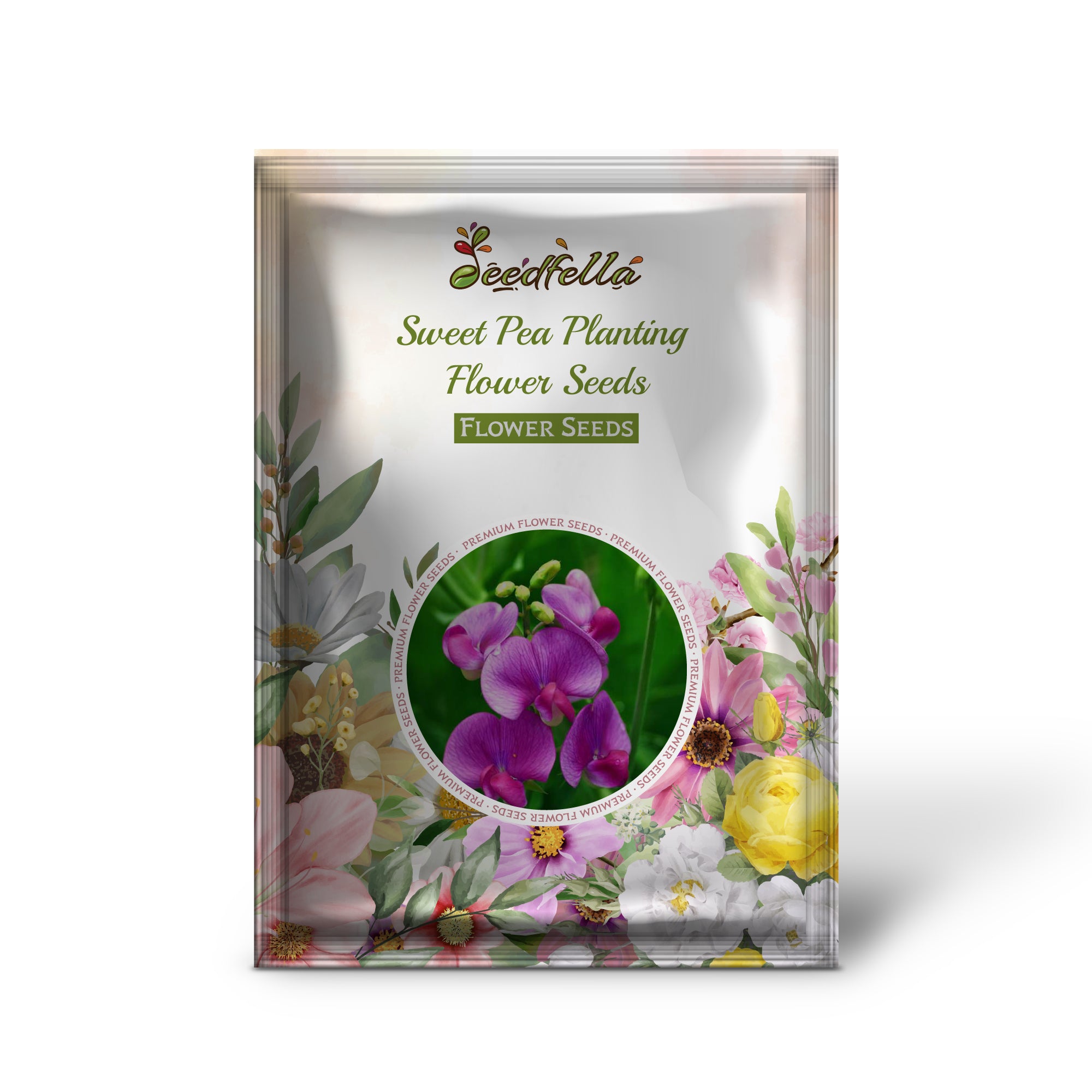 White Sweet Pea Blooms in Garden