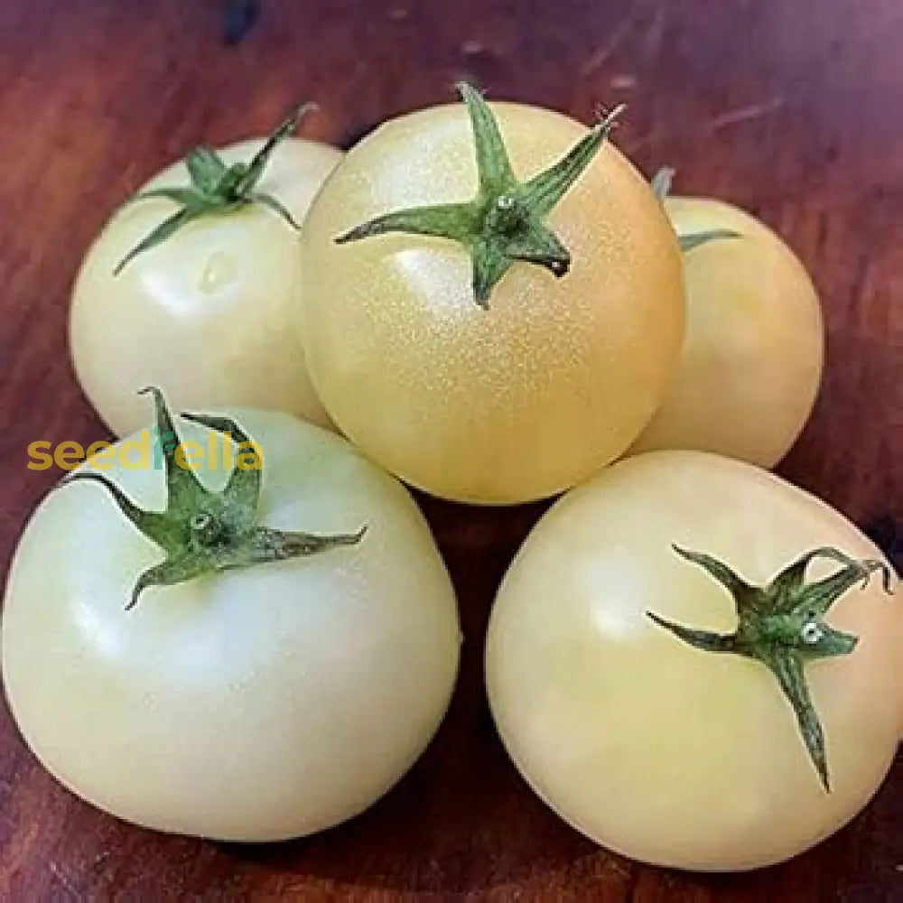 White Tomato Seeds For Easy Planting Vegetable Seeds