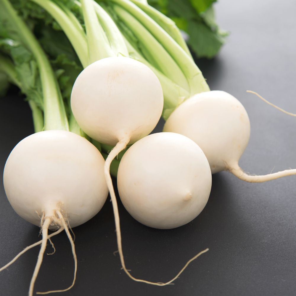 Close-up of a white turnip root