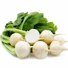 Harvested white turnips with greens