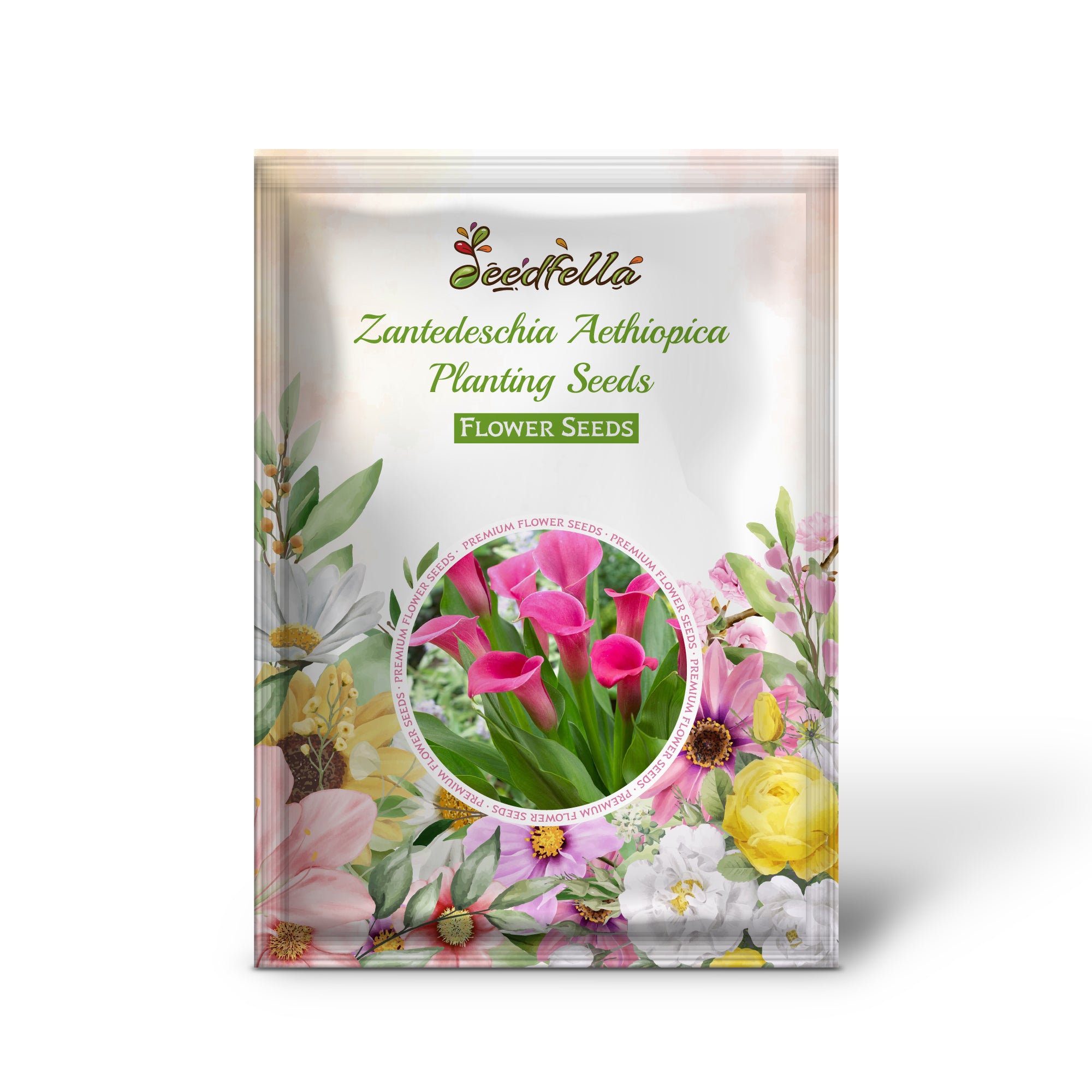 Elegant White Zantedeschia Aethiopica Blooms