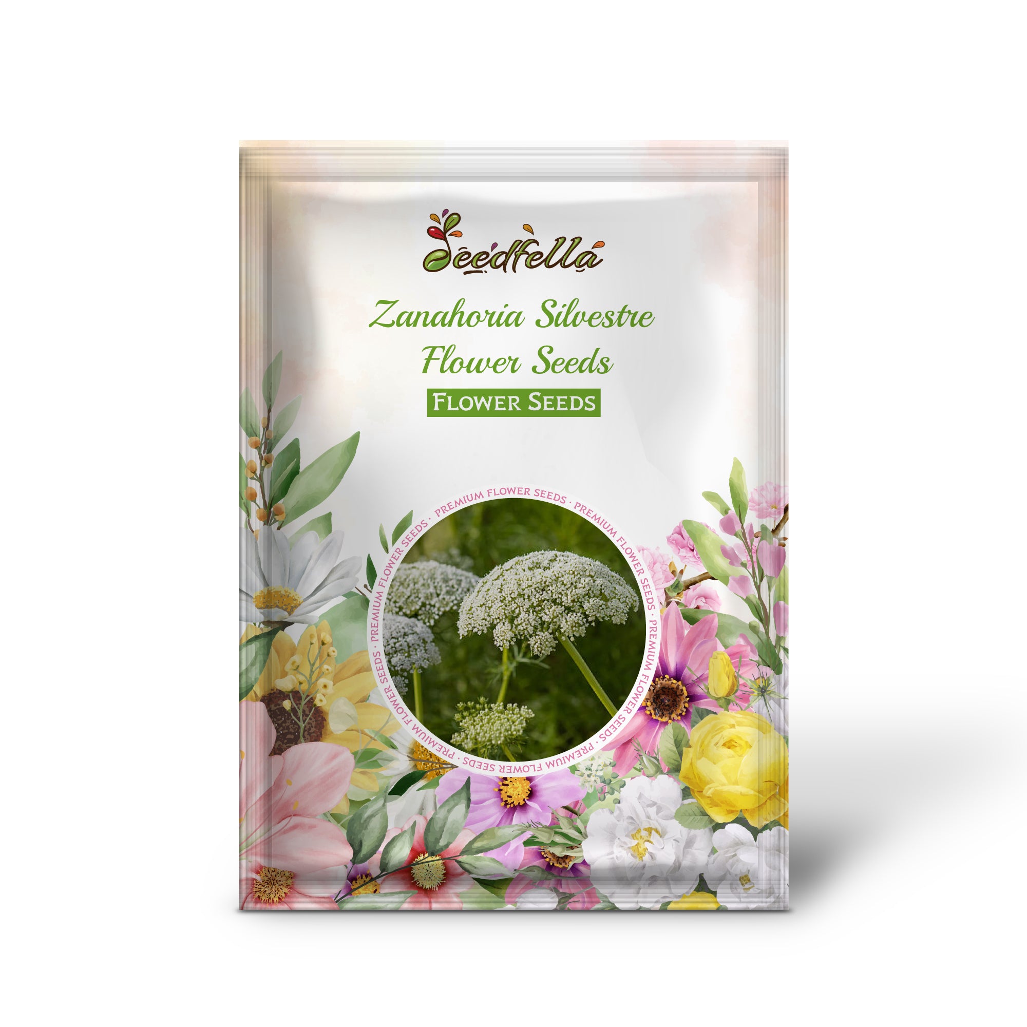 Wild Carrot (Queen Anne’s Lace) White Flower Close-Up