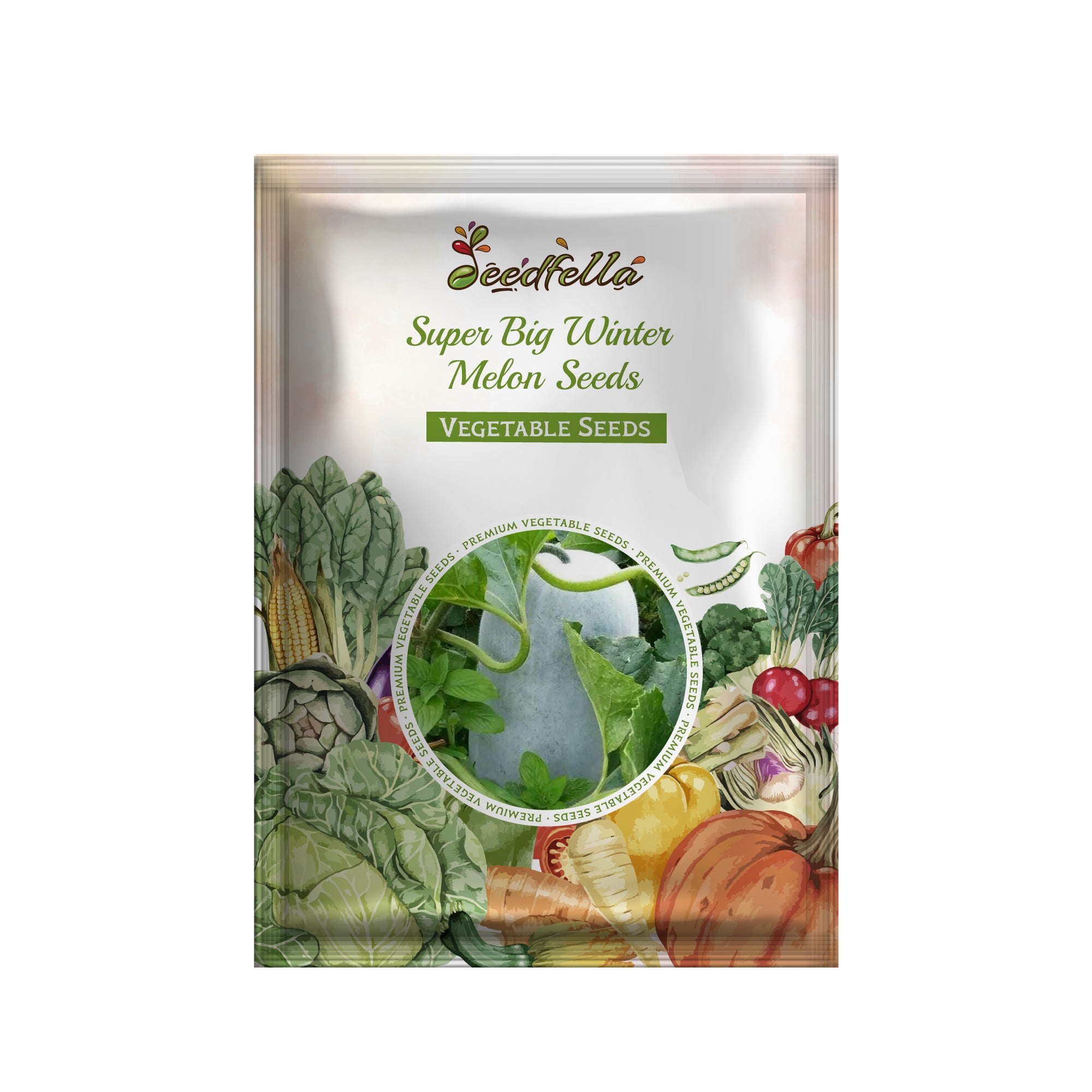 Winter melon seedlings sprouting in soil