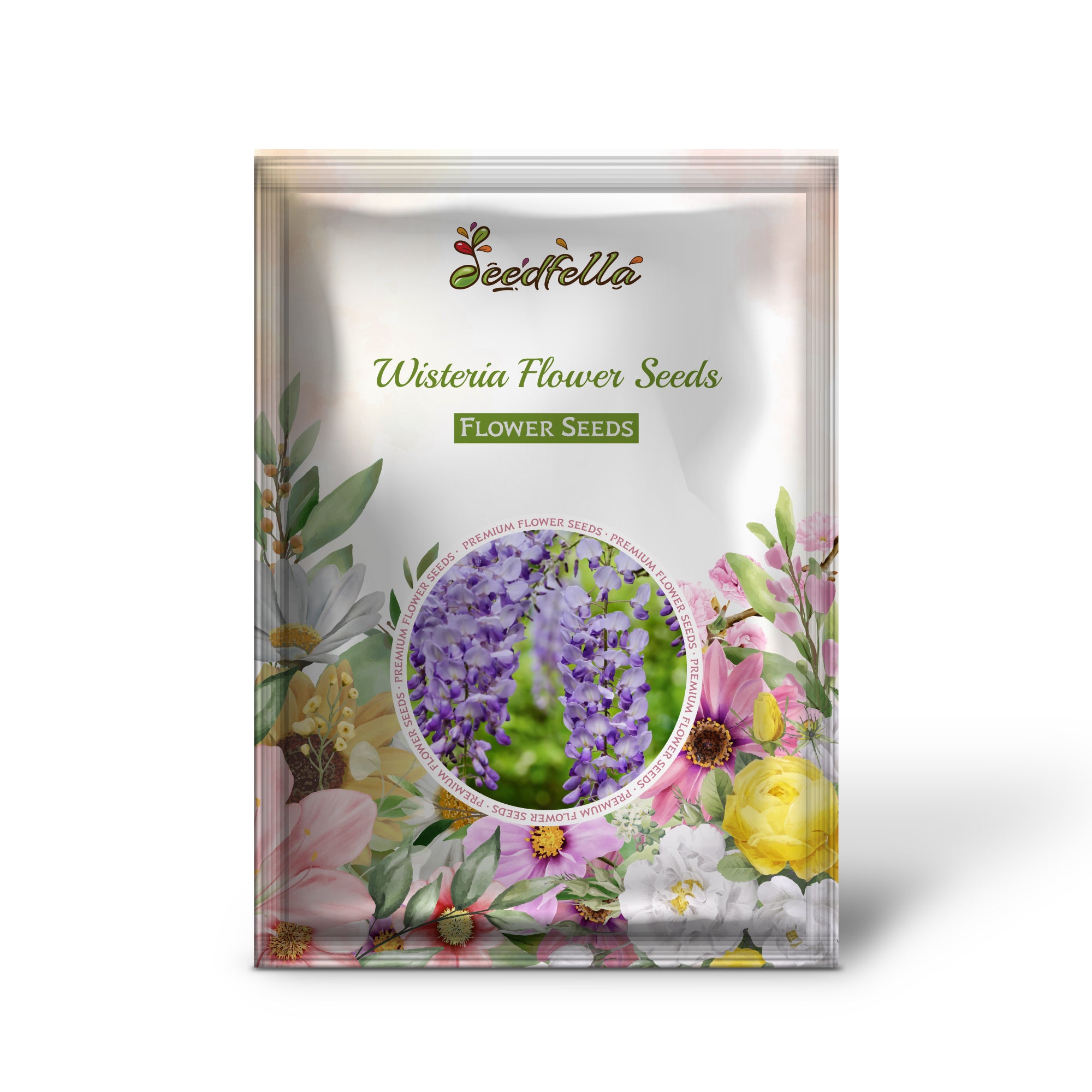 Wisteria Vine with Cascading Purple Blooms