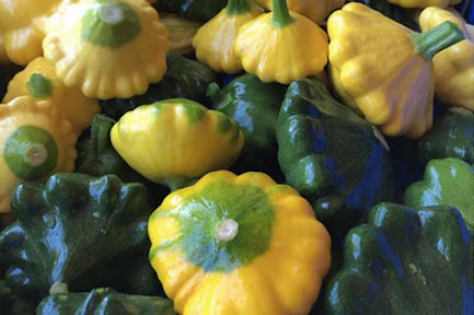 Mixed Patty Pan Vegetable Seeds For Planting Seeds